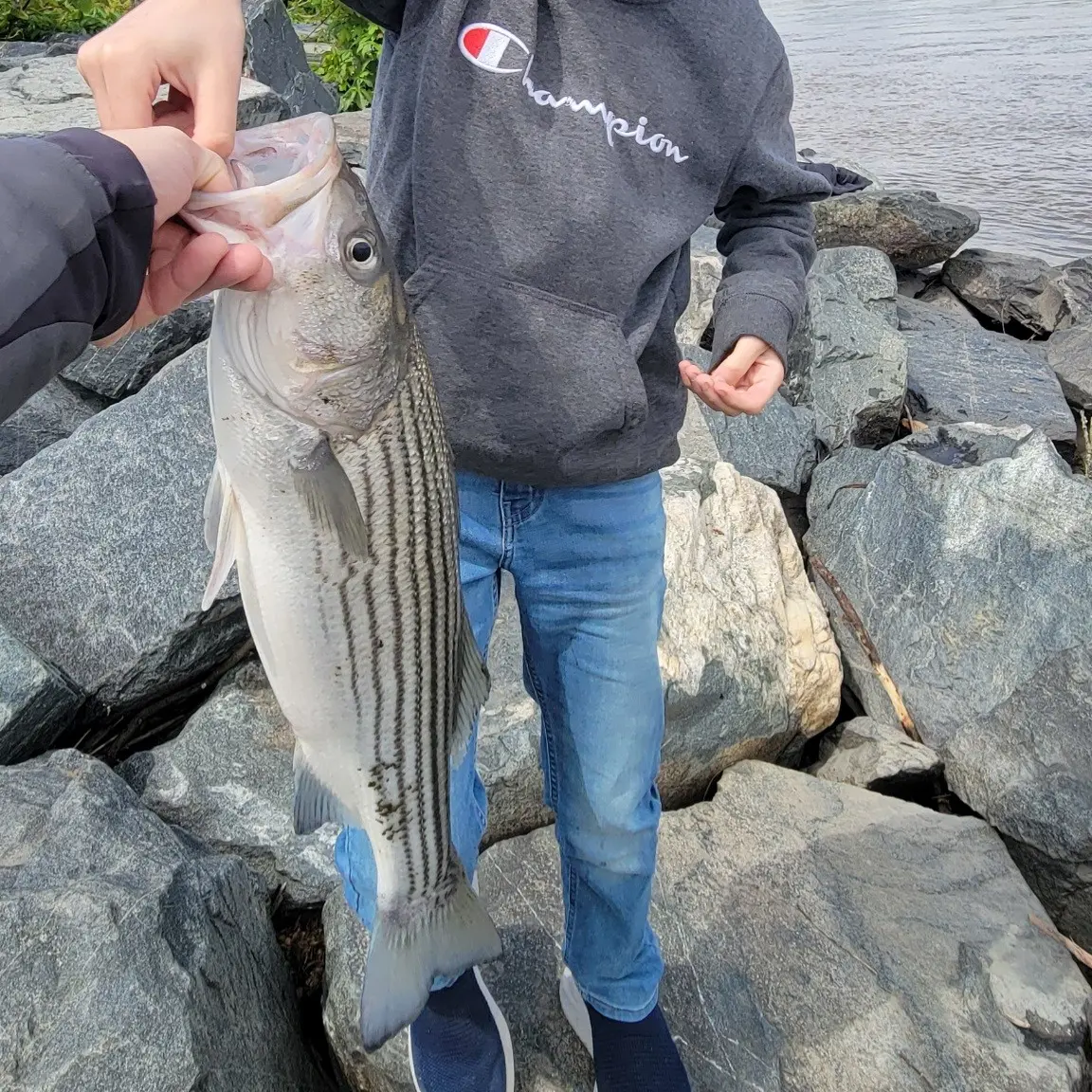 HOT DAM !!! Striper Fishing [ 1st - TIME ] At Conowingo Dam MD