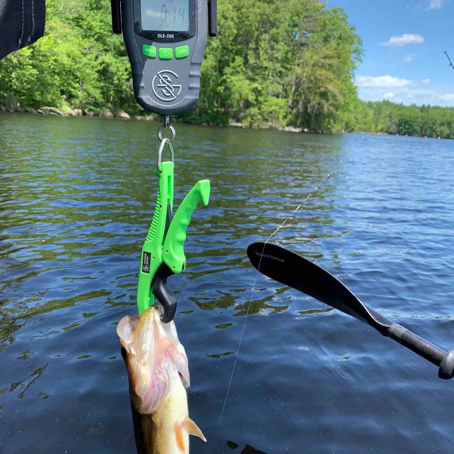 ᐅ Hopkinton Reservoir fishing reports🎣• South Hadley, MA (United