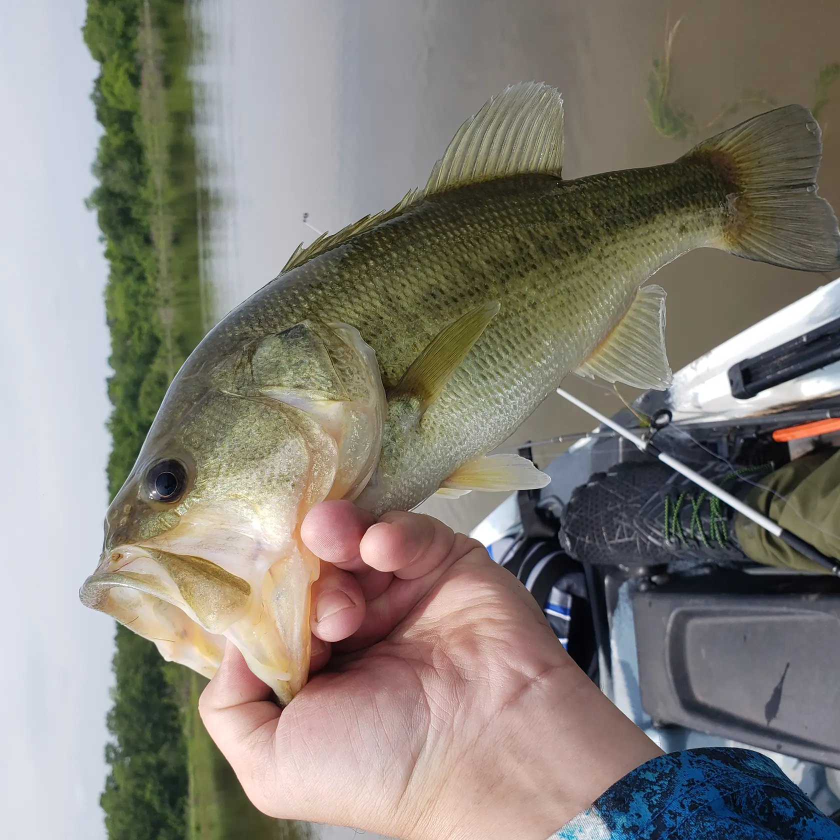 ᐅ Dahlgren Lake fishing reports🎣• Norman, OK (United States) fishing