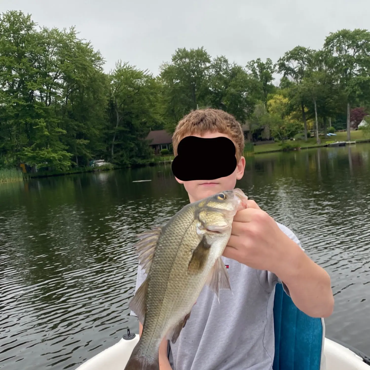 ᐅ Lake Kemah fishing reports🎣• Newton, NJ (United States) fishing