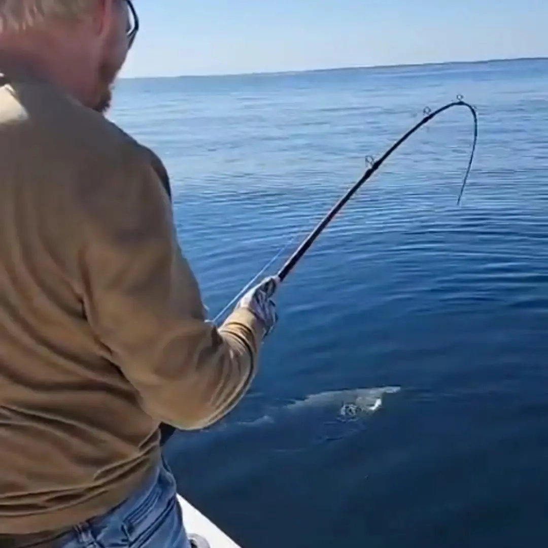 Swordfish, Sea Bass, Flounder, Rockfish and Sheep - Ocean City MD