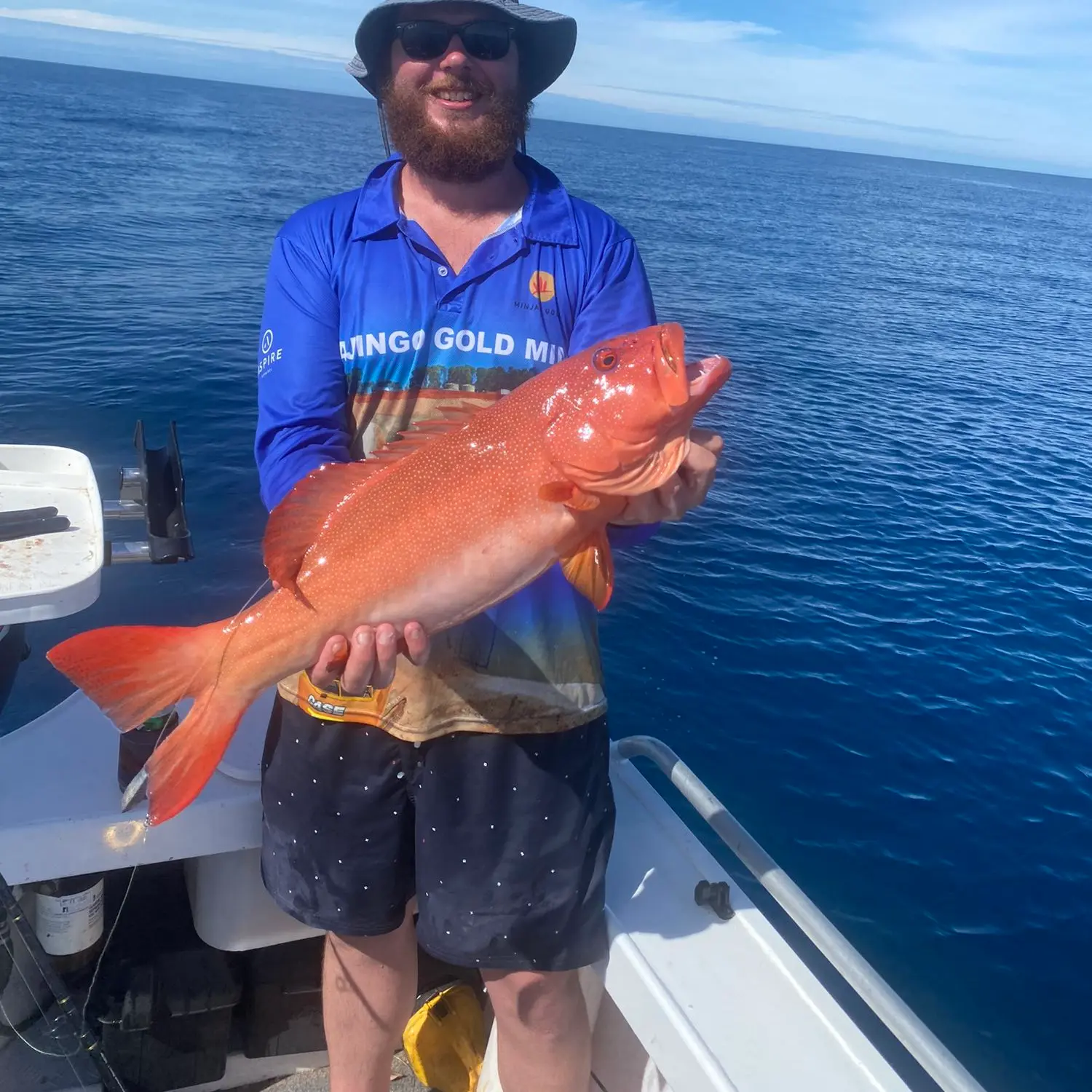 ᐅ Bramble Reef fishing reports🎣• Queensland, Australia fishing