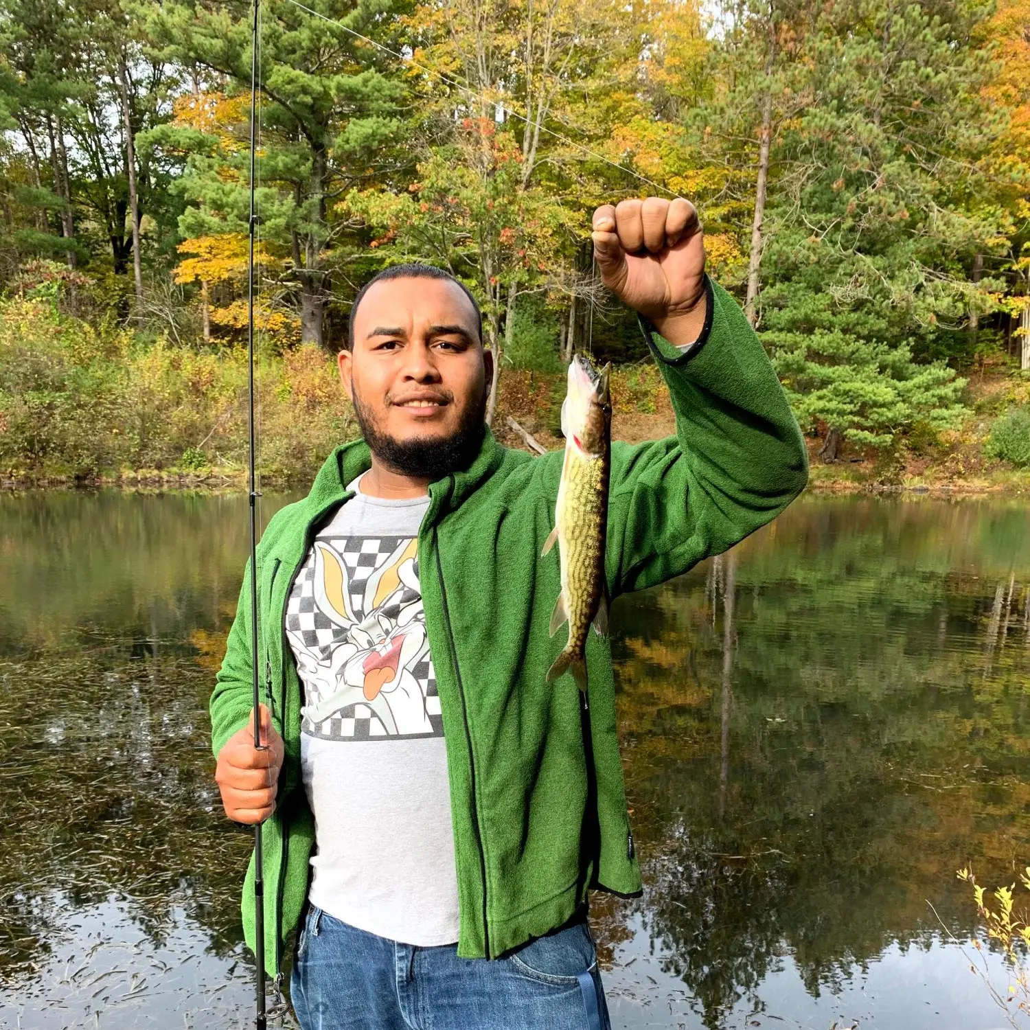 ᐅ White Birch Pond fishing reports🎣• Guilderland, NY (United