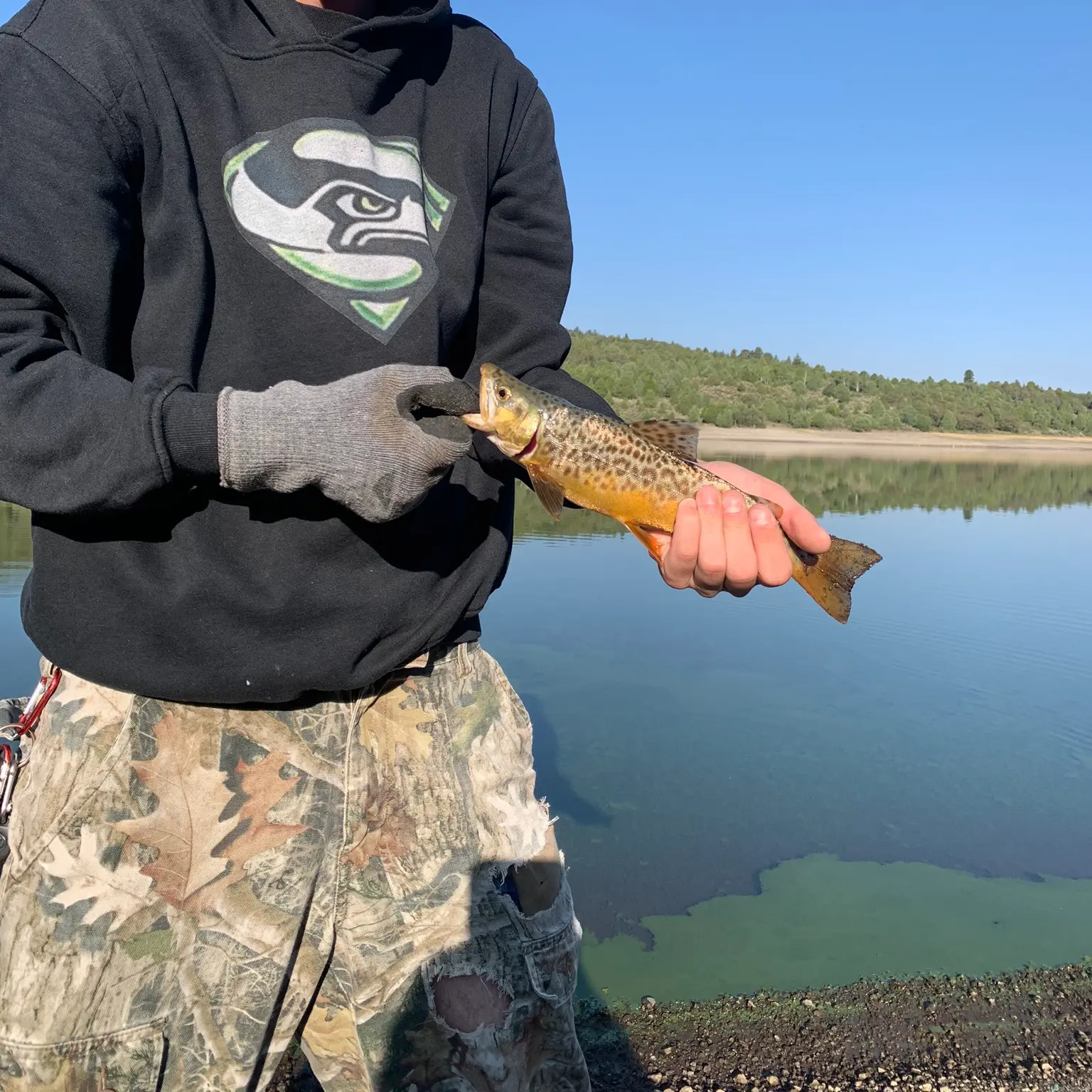 ᐅ Birch Creek Reservoirs fishing reports🎣• Evanston, UT (United States)  fishing