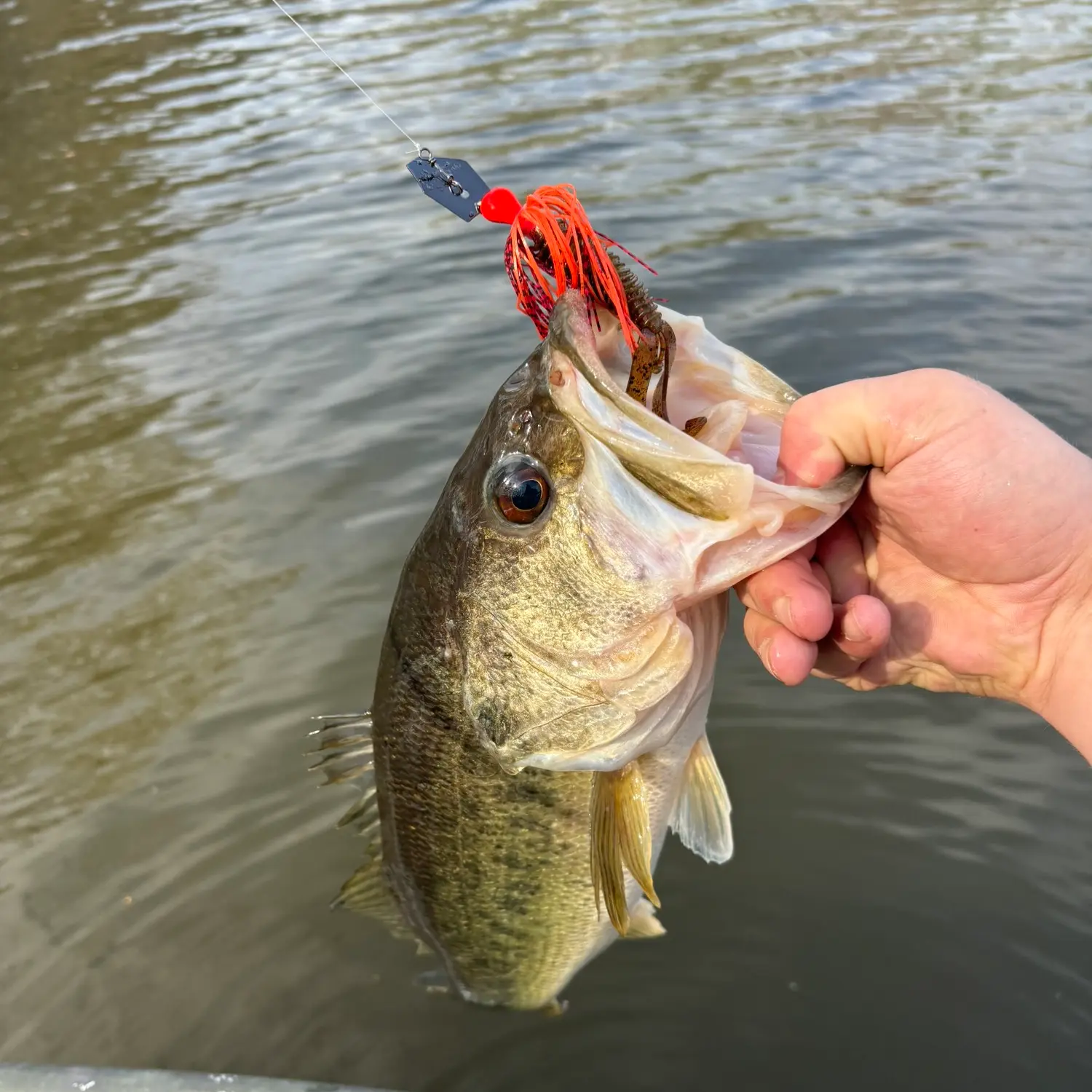 ᐅ Lake Hunt fishing reports🎣• Reidsville, NC (United States) fishing