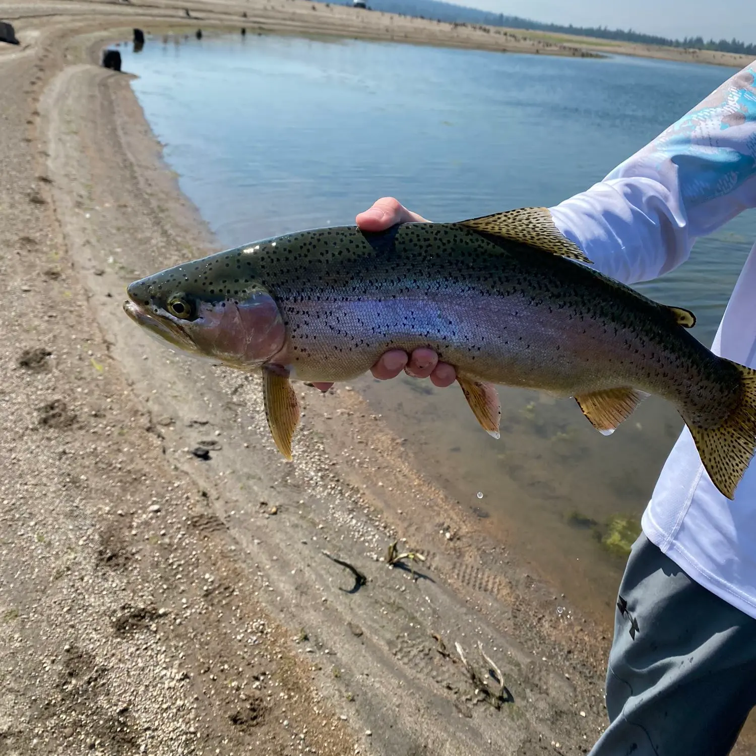 Wickiup Reservoir Kokanee Fishing Tips and Secrets - Best Fishing