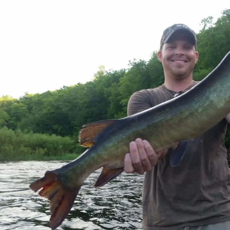 East Fork Chippewa River fishing reports WI United States