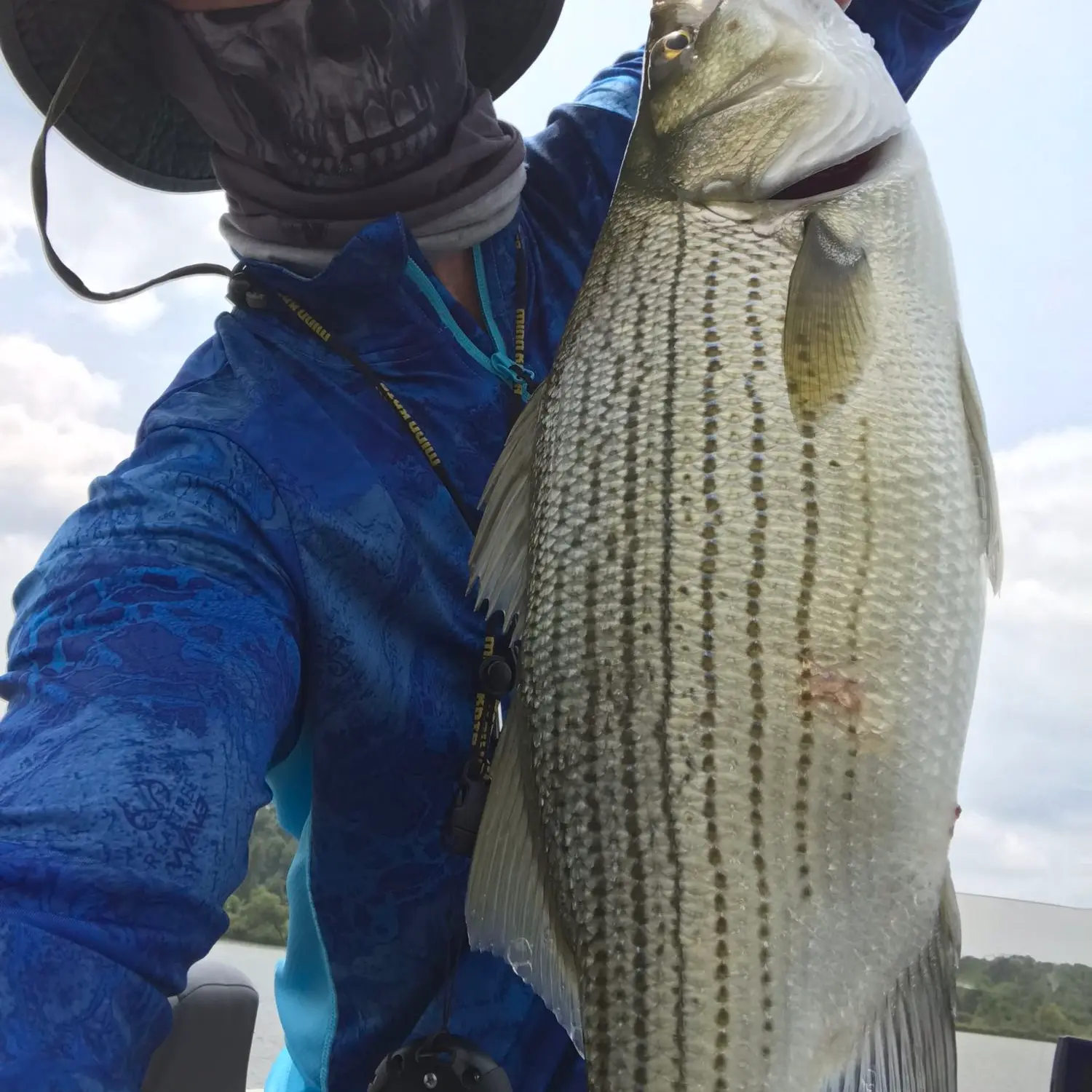 Fishing for Striped bass near you