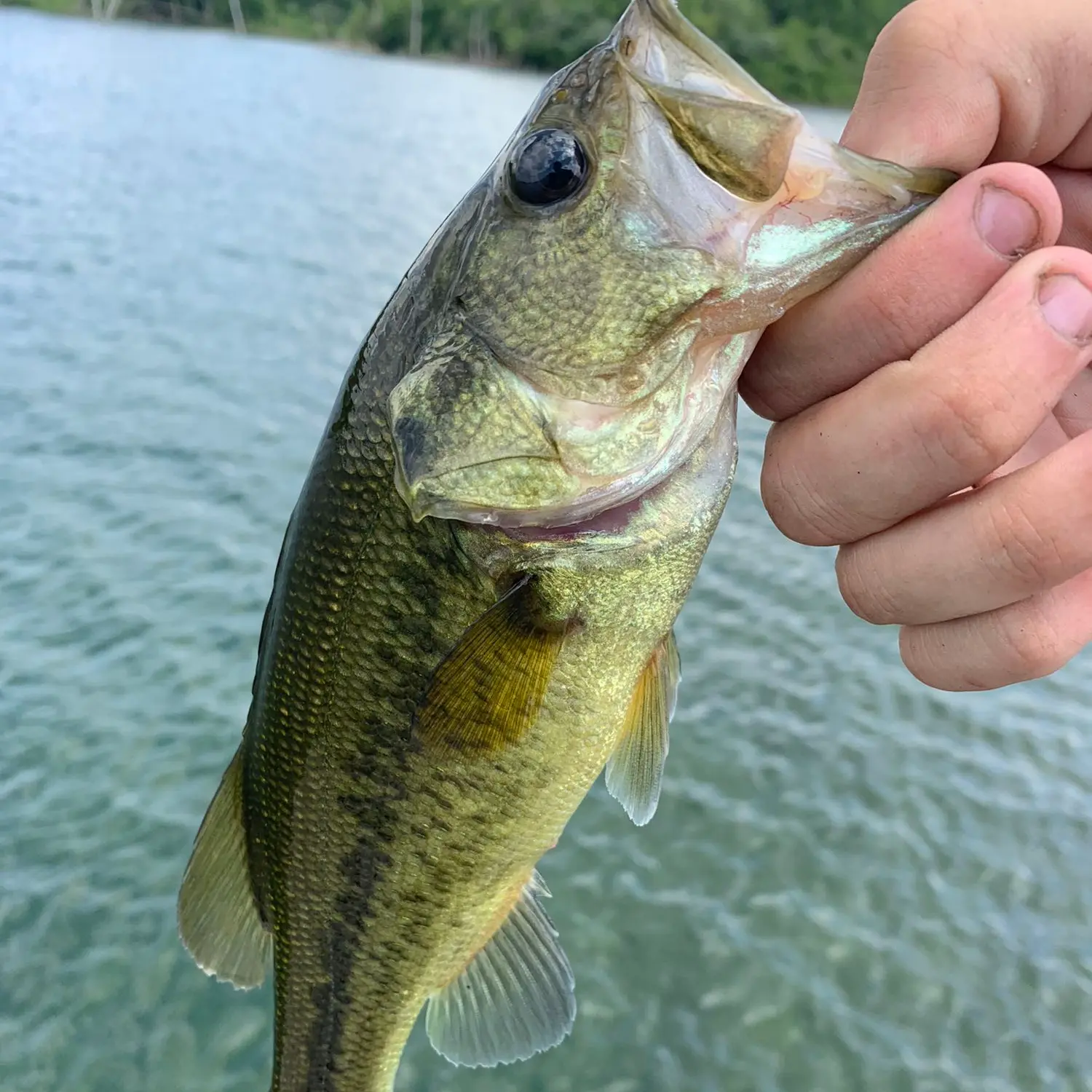 Summit Lake Reservoir Fishing Map