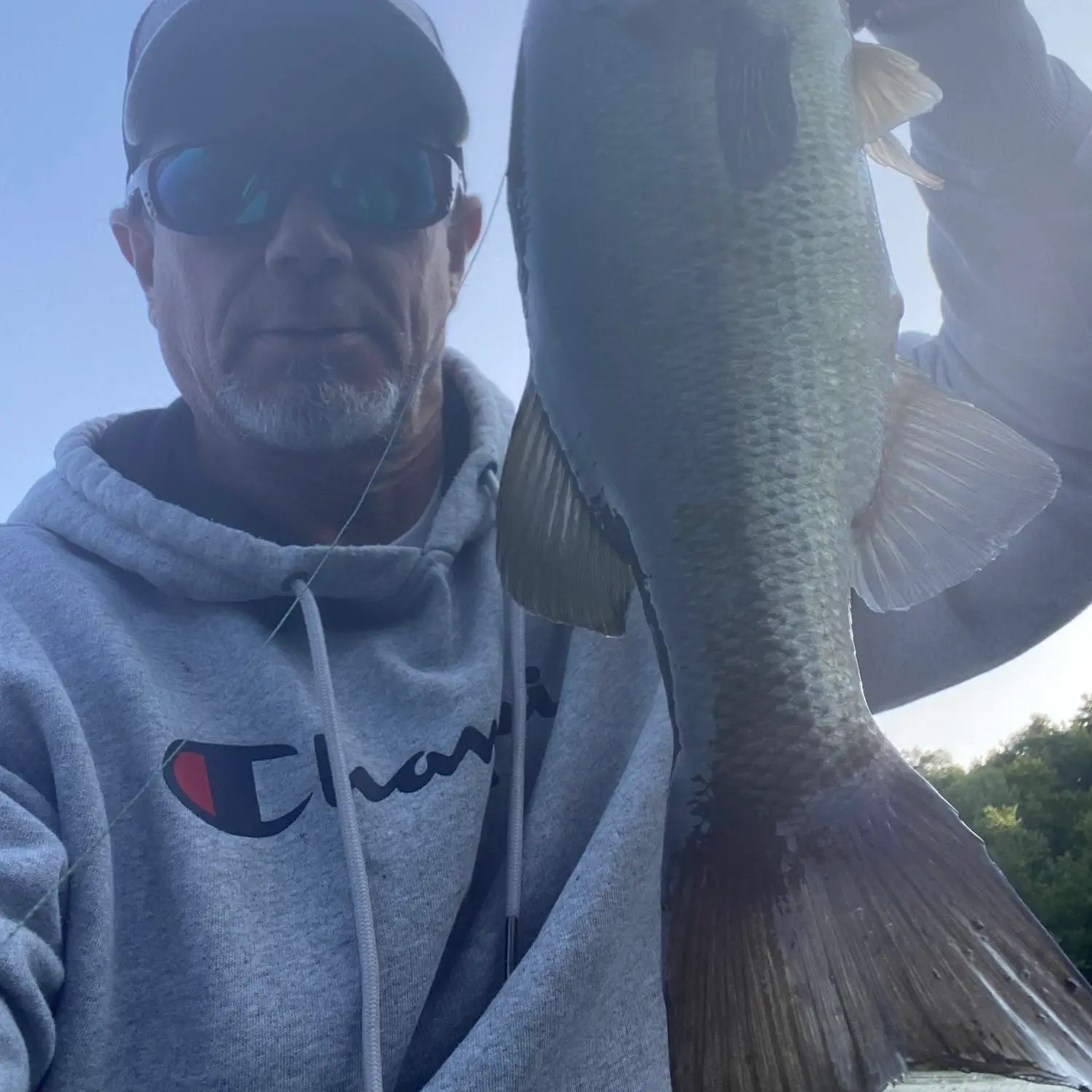 ᐅ Wampatuck Pond fishing reports🎣• Pembroke, MA (United States) fishing