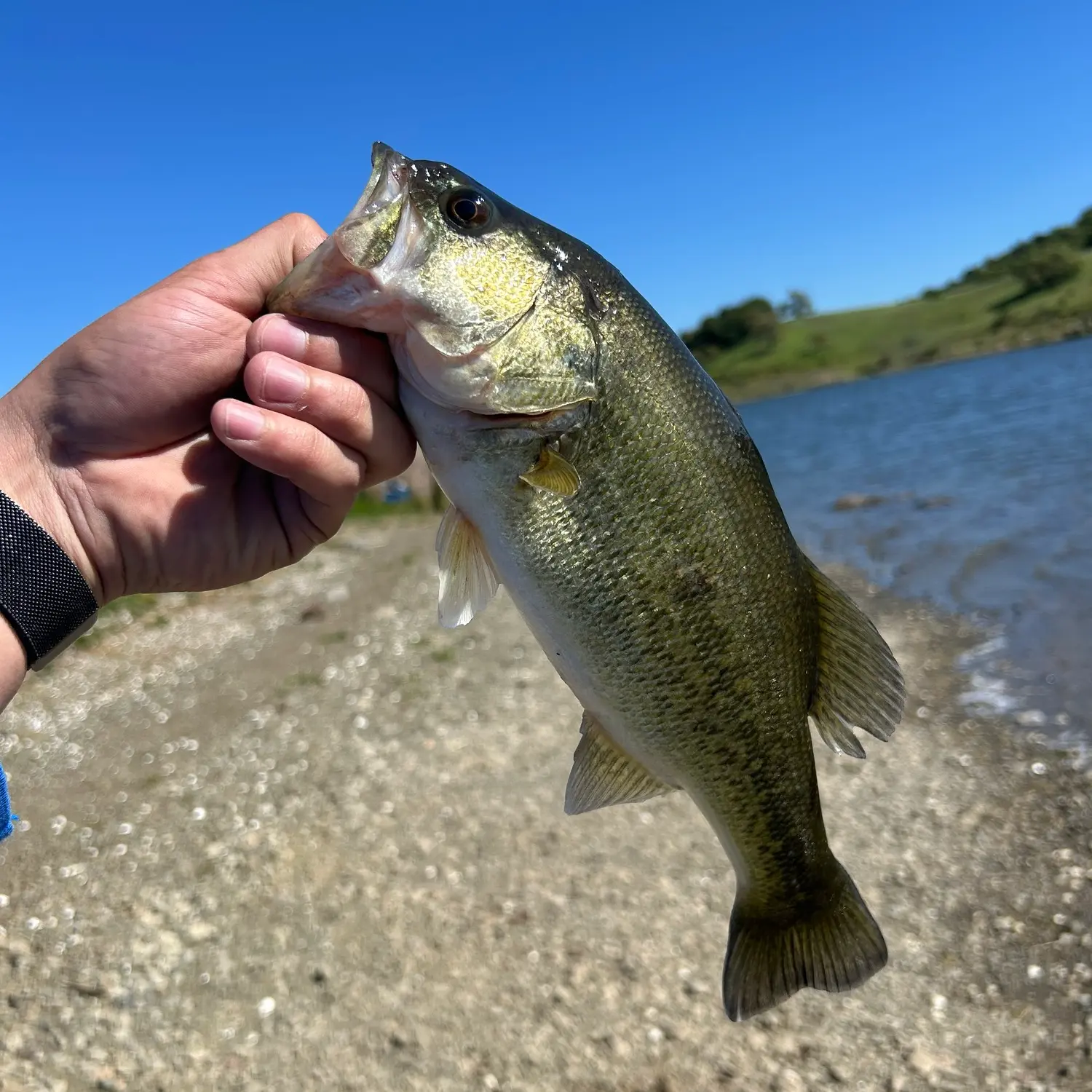 Calero Fishing