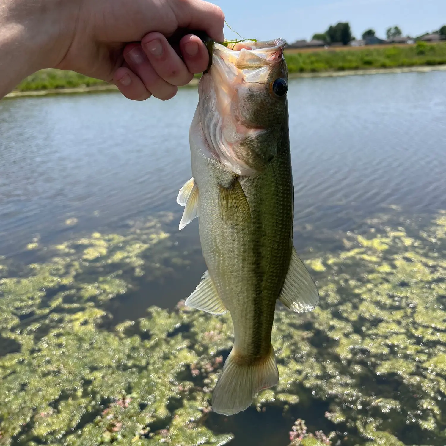 Fishing spots around SW MO? : r/joplinmo