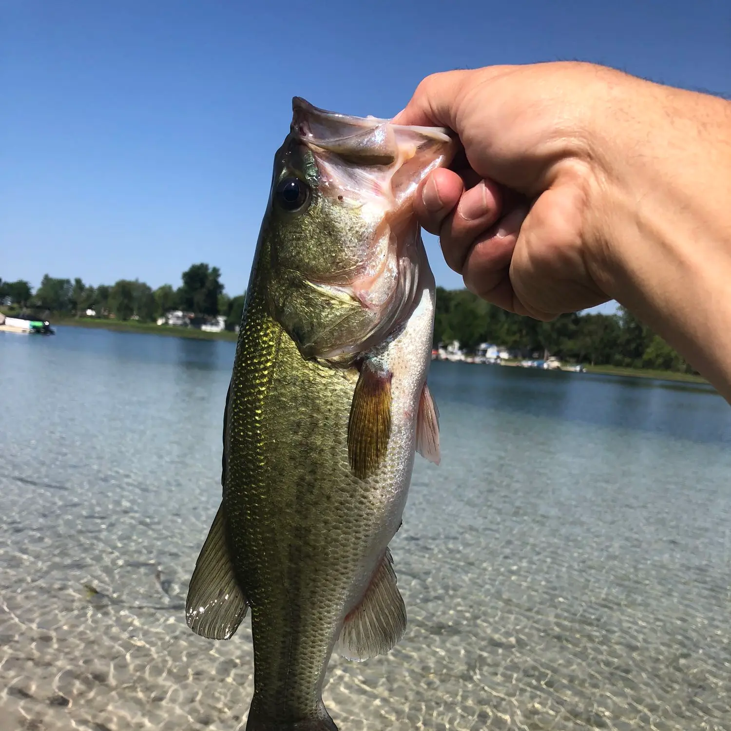 Barton Lake Indiana