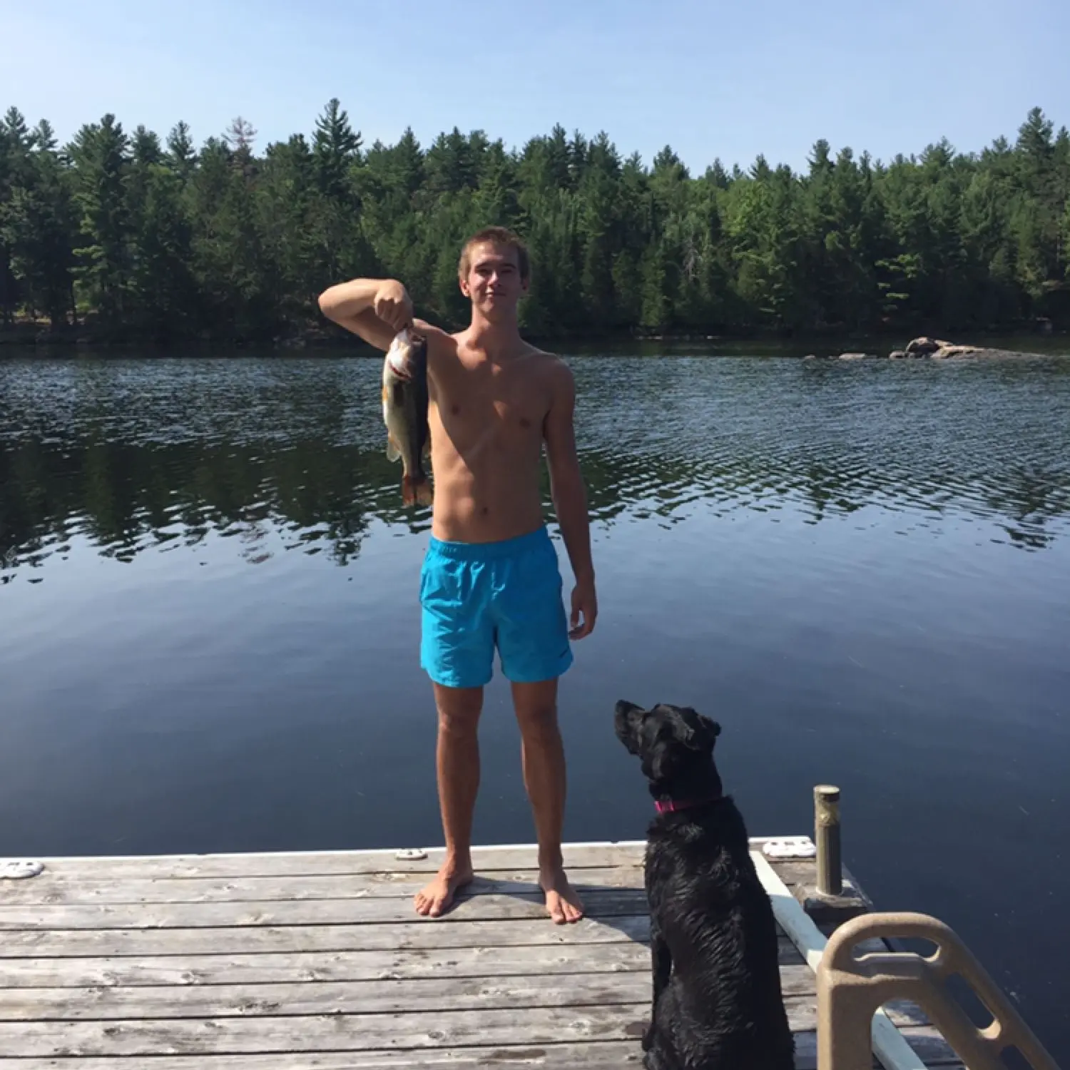 ᐅ Hurds Lake fishing reports🎣• Ontario, Canada fishing