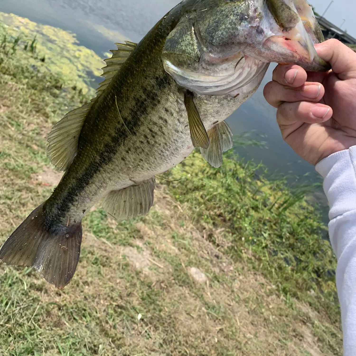 Lake Ray Hubbard Fishing Report by Darrel Thomas