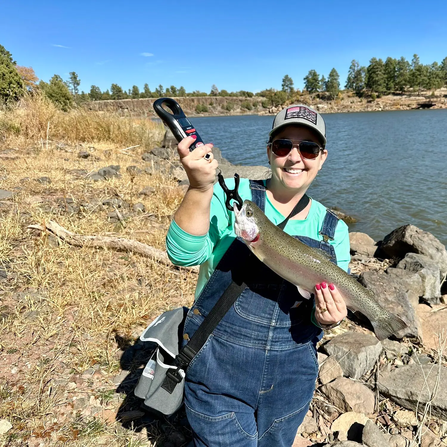 ᐅ Fools Hollow Lake fishing reports🎣• Show Low, AZ (United States) fishing