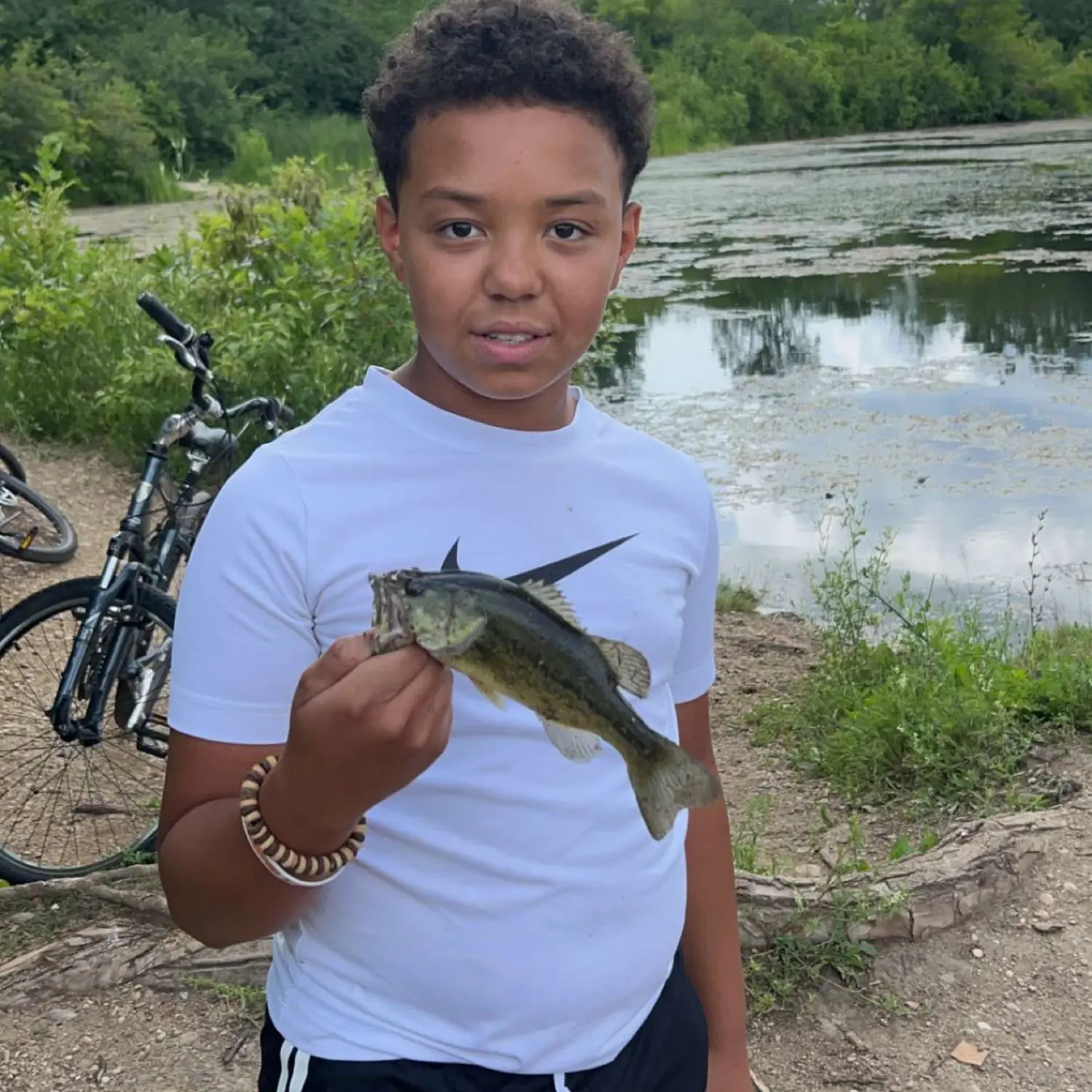 Upper Boy Scout Lake Fishing Area