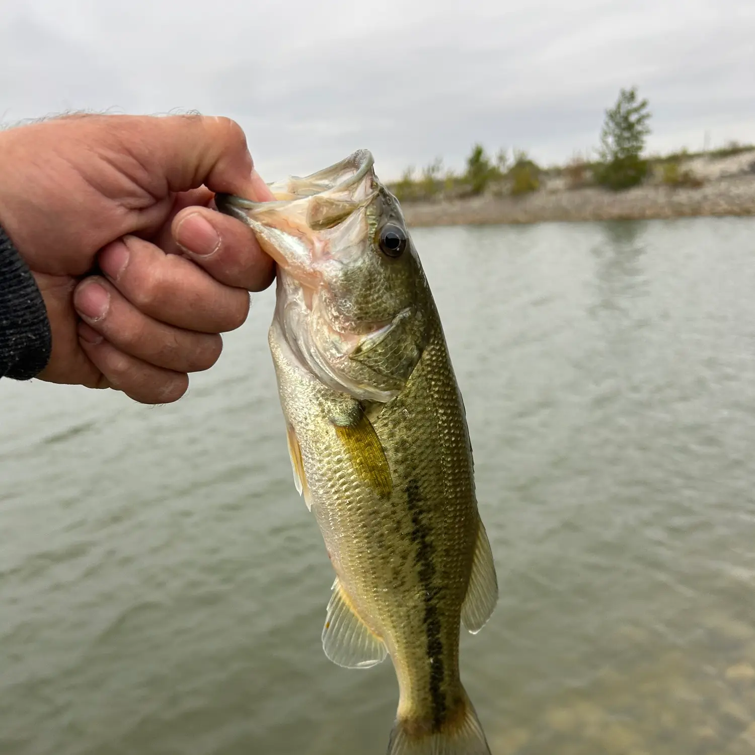 Bank Fishing Big Lakes and Reservoirs