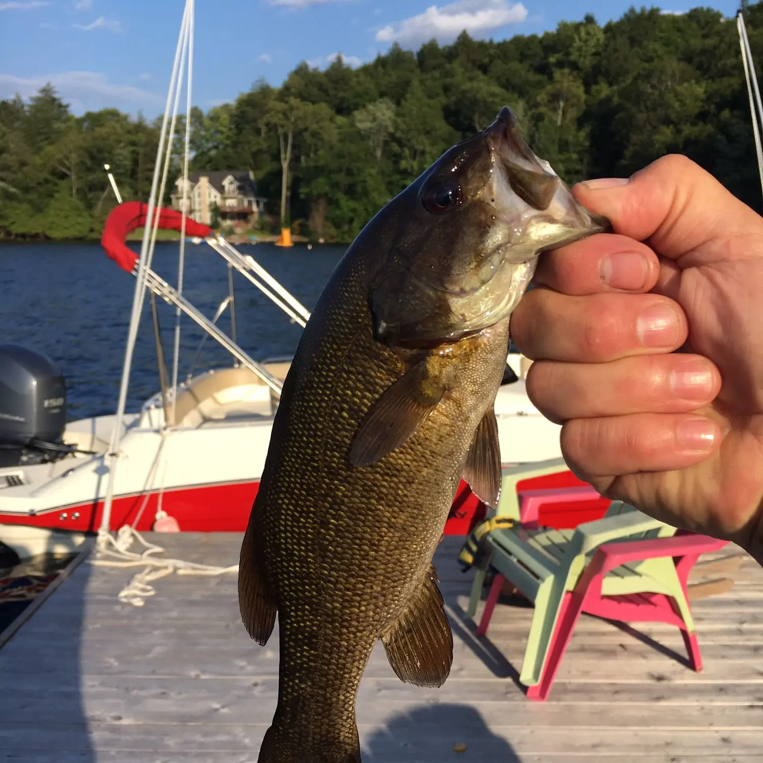 Little Redstone Lake Fishing Map: Haliburton Highlands District