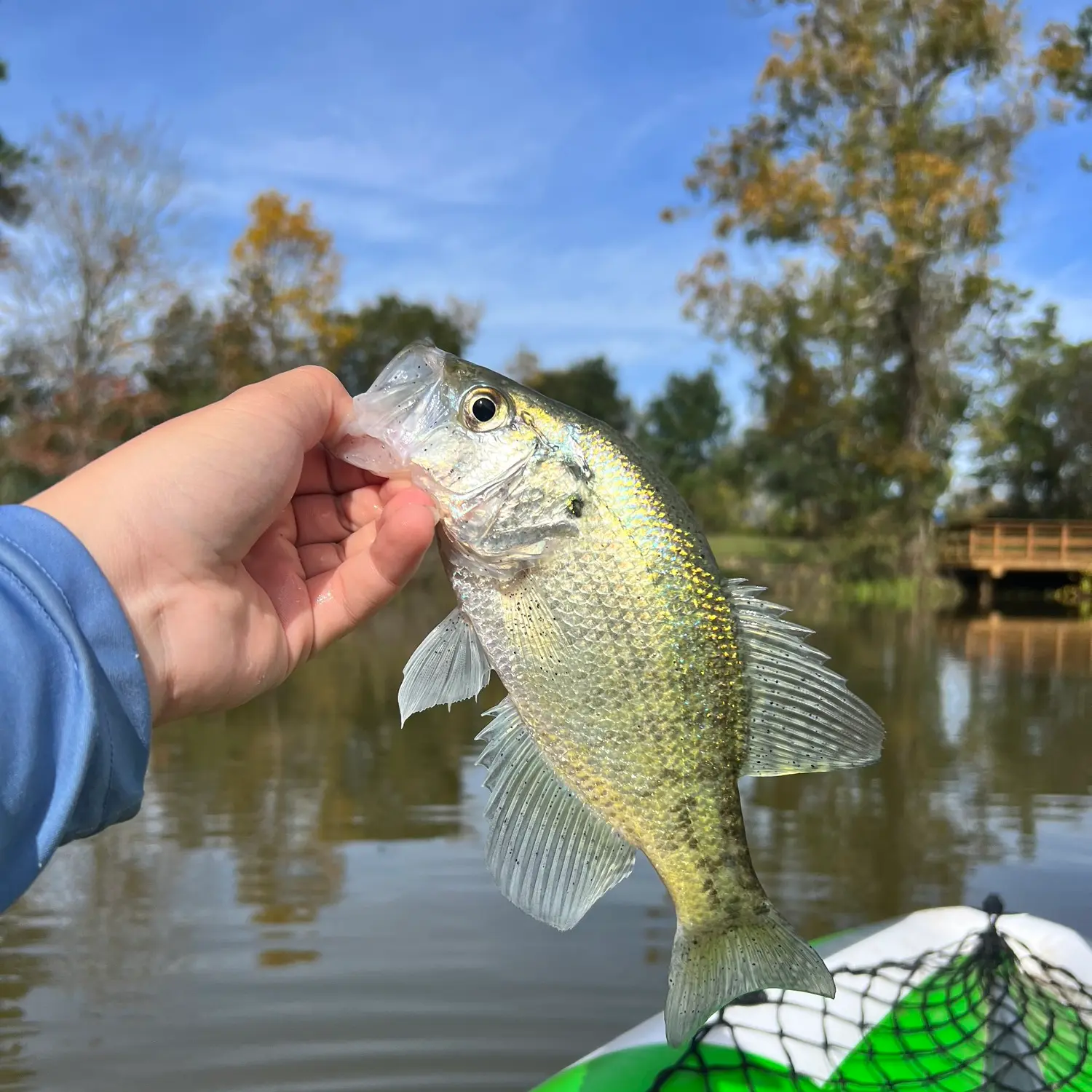 Fishing at the Gâtineaux pond