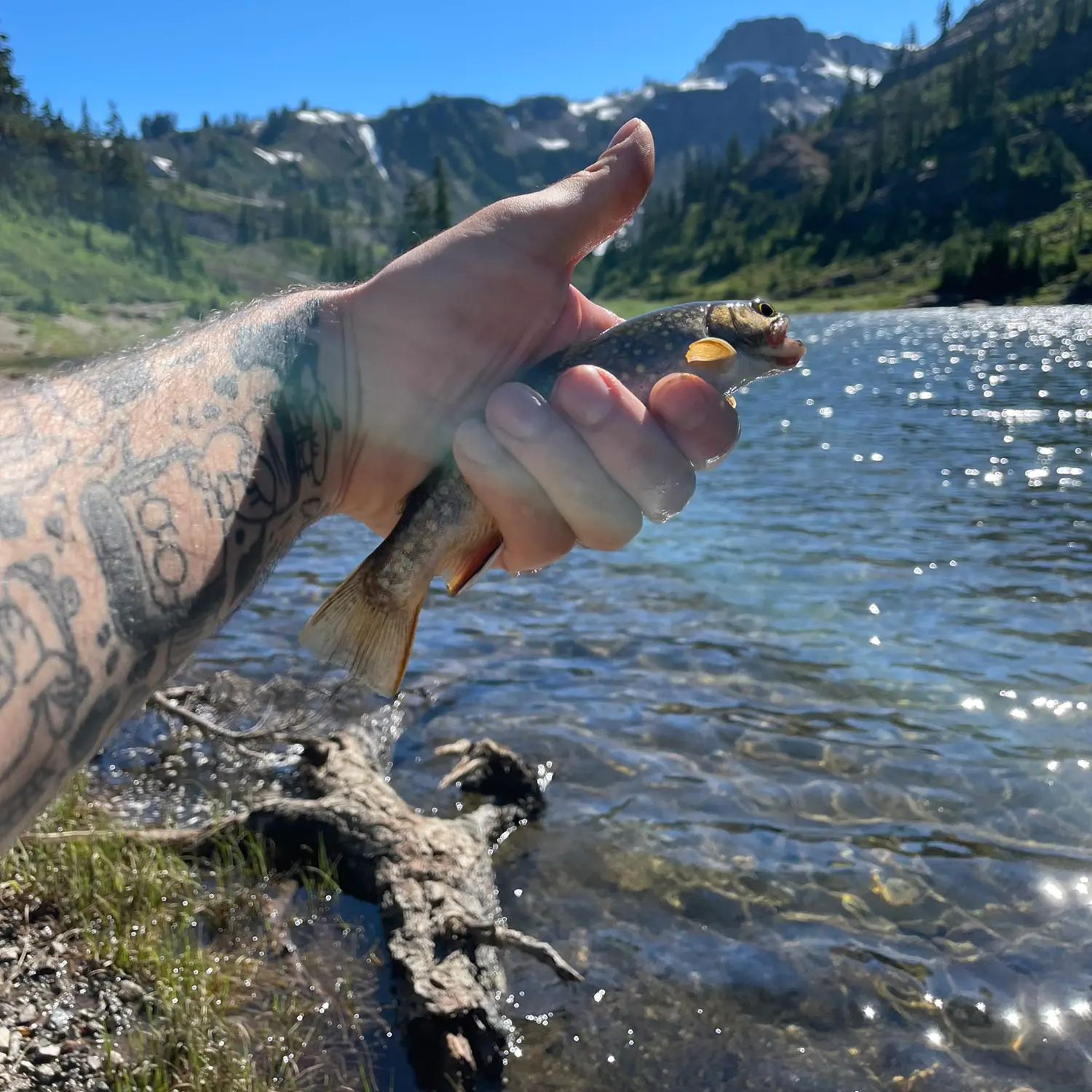 ᐅ Bagley Lakes fishing reports🎣• Sedro-Woolley, WA (United States) fishing