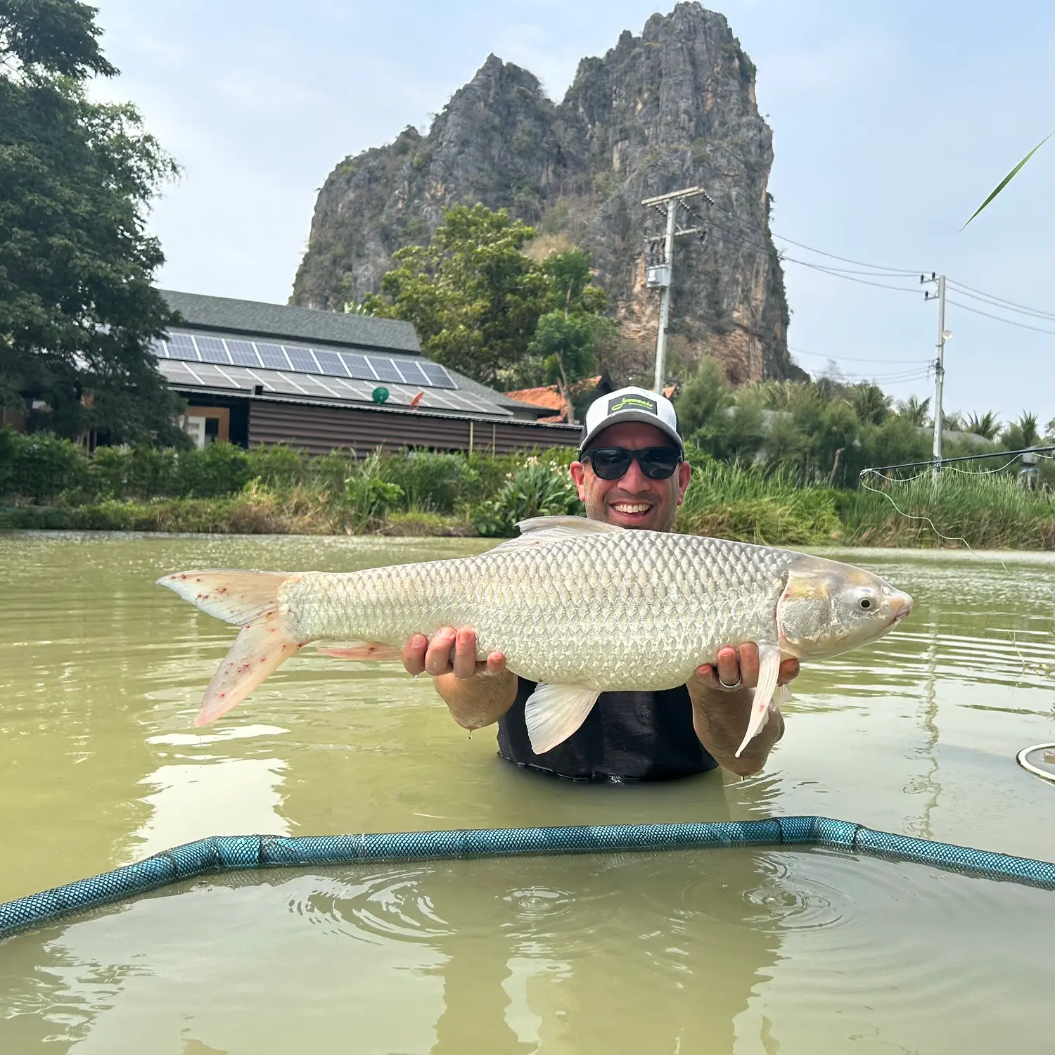 Amazing Big Rohu Fish Catch