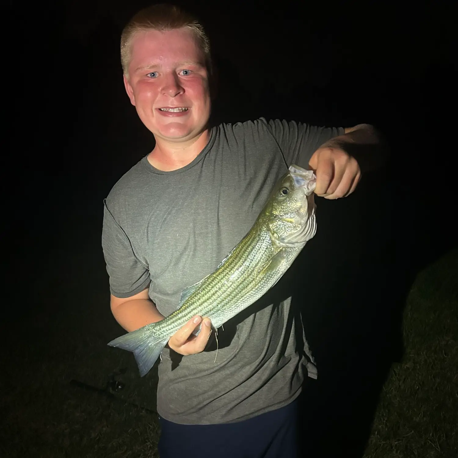 ᐅ Mezick Ponds fishing reports🎣• Arnold, MD (United States) fishing