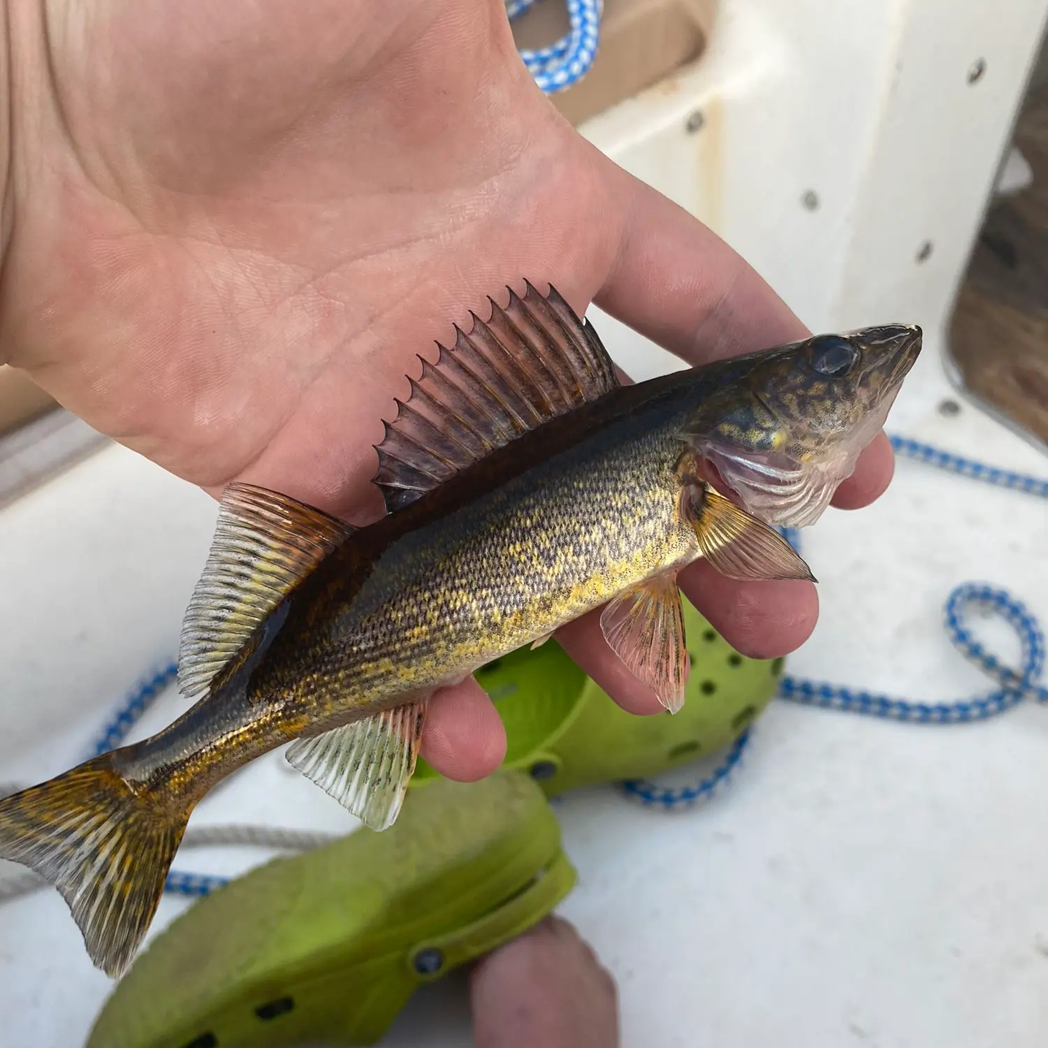 Tube Fishing in Northern Minnesota - Garden Lake Resort Blog