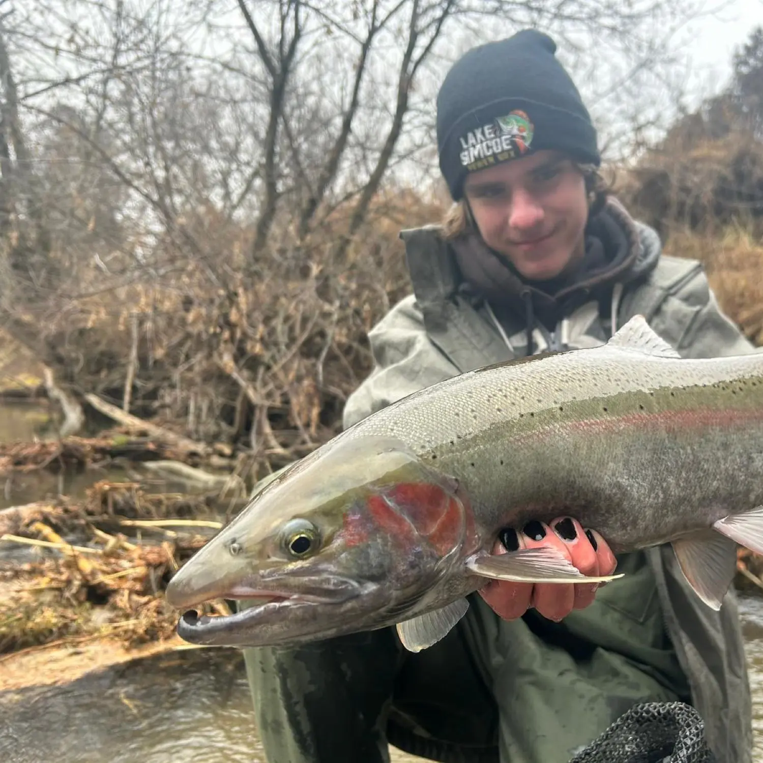 ᐅ Nottawasaga River fishing reports🎣• Ontario, Canada fishing