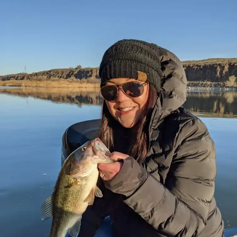 14+ Evergreen Lake Fishing