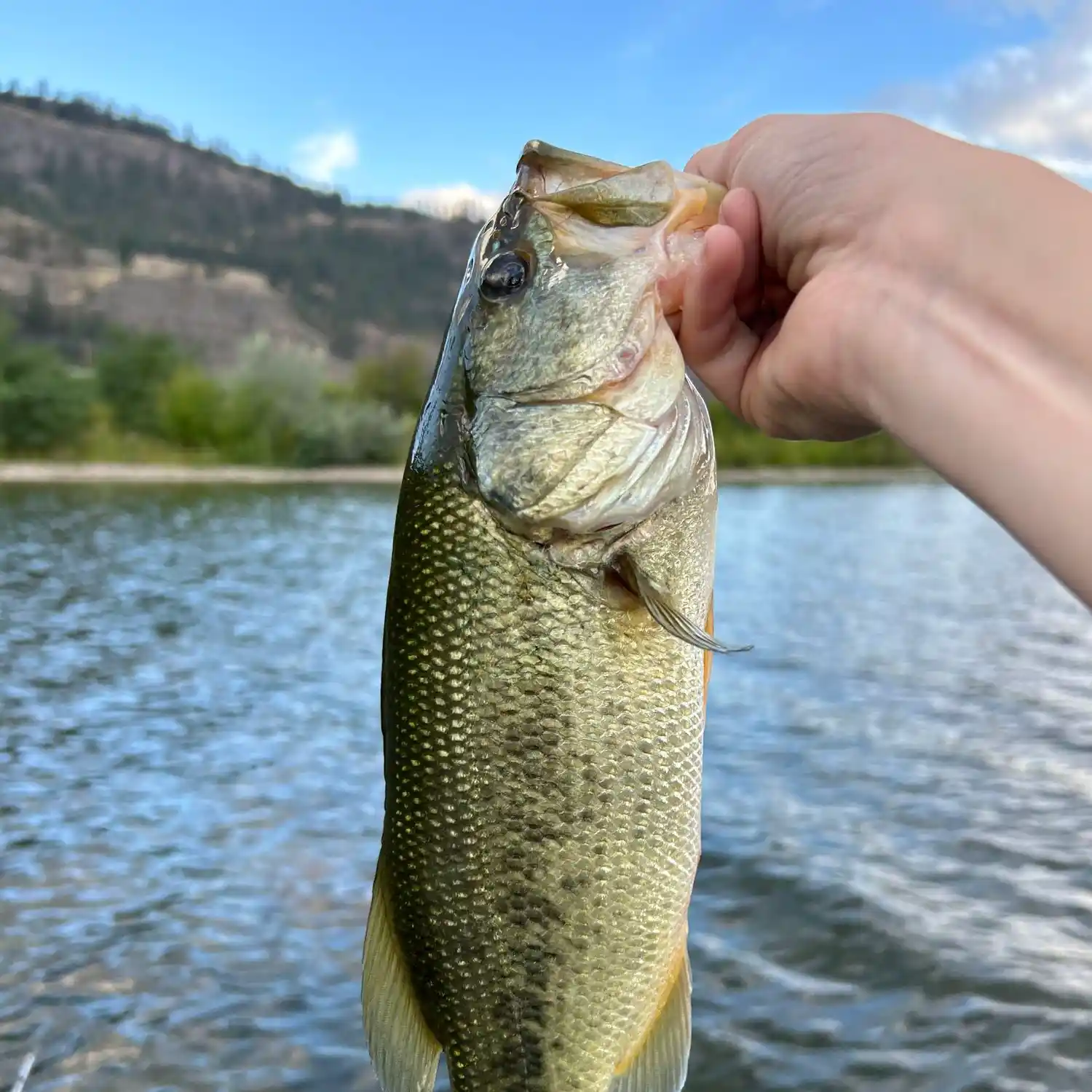 Western Canada Kayak Fishing Trail