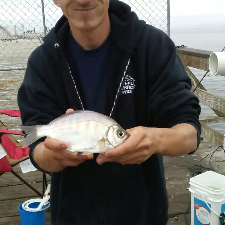 Santa Cruz Pier fishing reports Live Oak CA United States