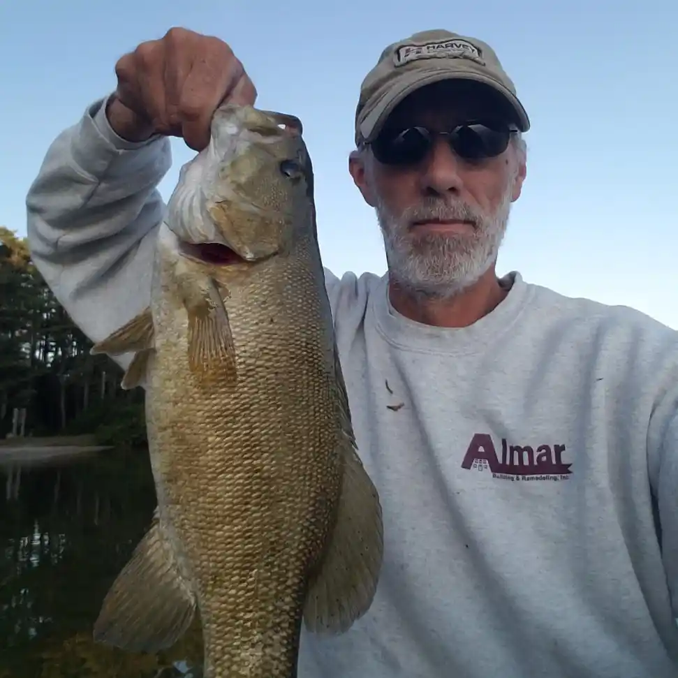 Fishing reports best baits and forecast for fishing in Trask Pond