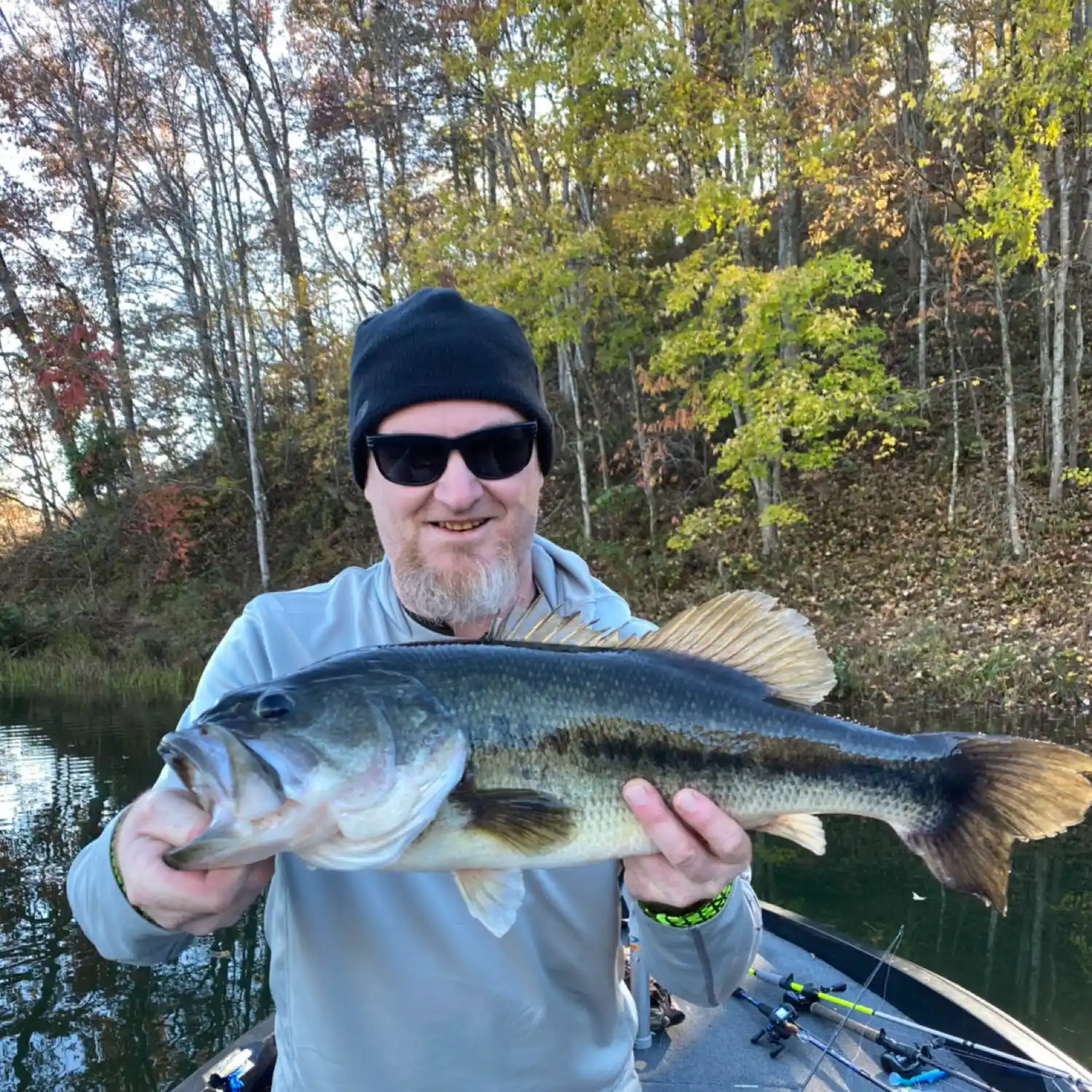 ᐅ Greenbo Lake fishing reports🎣• Ashland, KY (United States) fishing