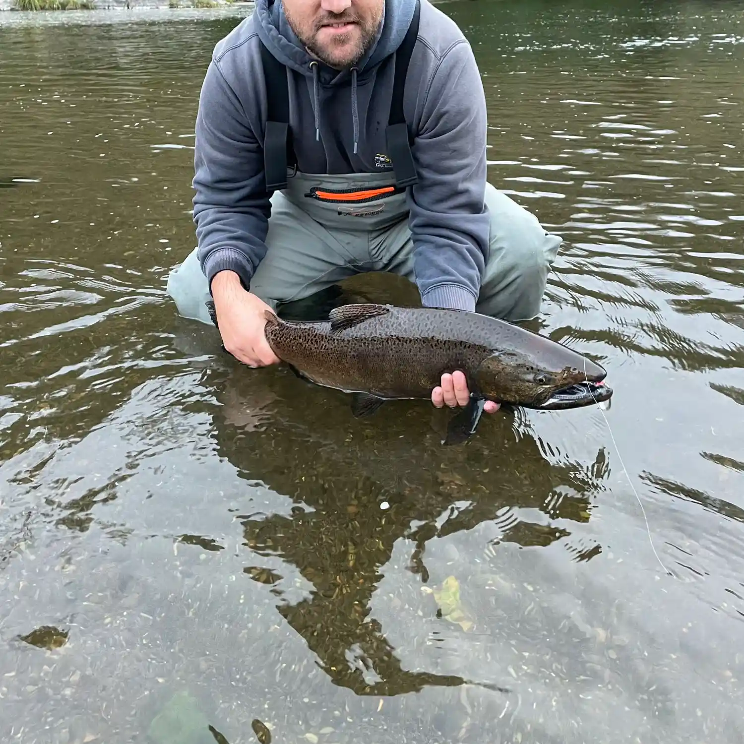 South Fork Trask River fishing reports Forest Grove OR