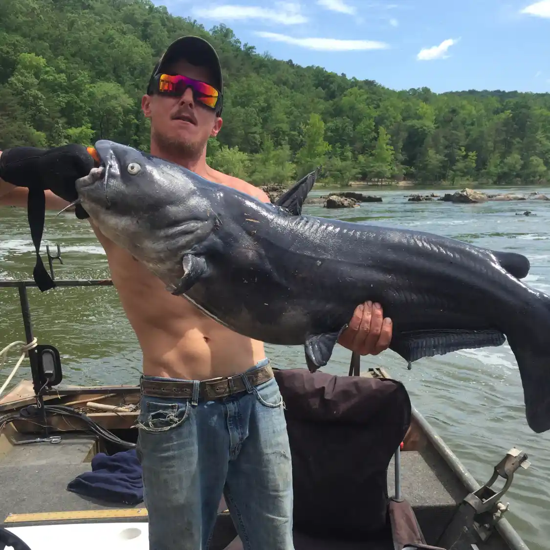 Yadkin river deals flatheads