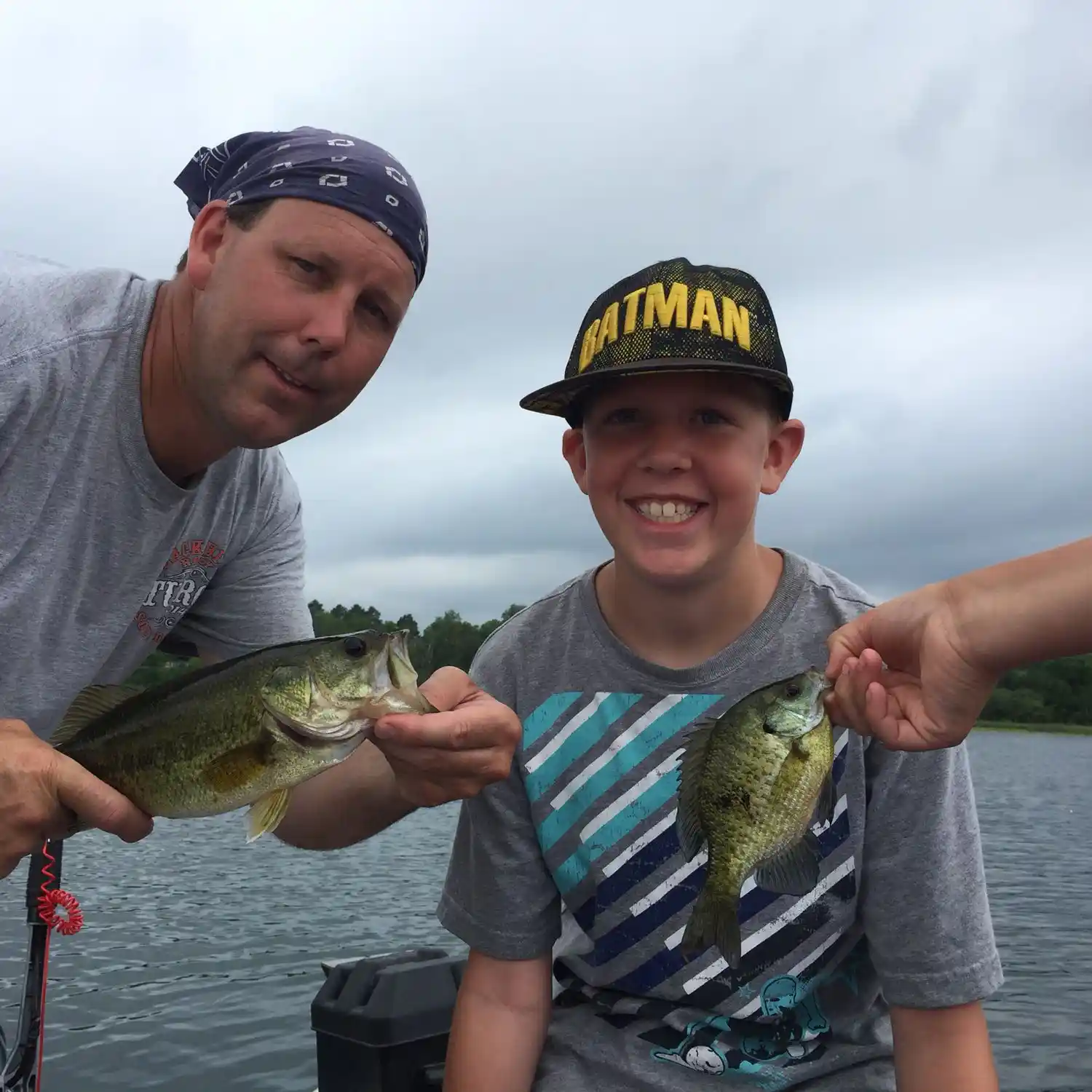 ᐅ Cass Lake fishing reports🎣• Bemidji, MN (United States) fishing