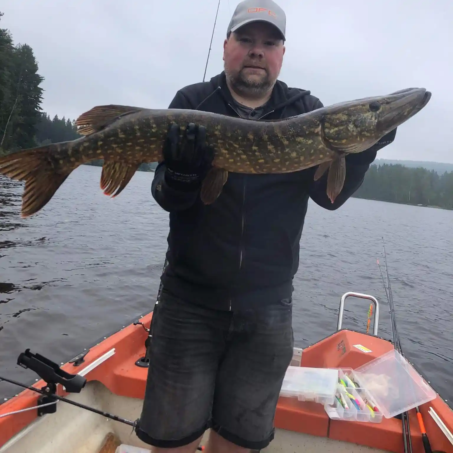 Fishing reports, best baits and forecast for fishing in Olofsjön