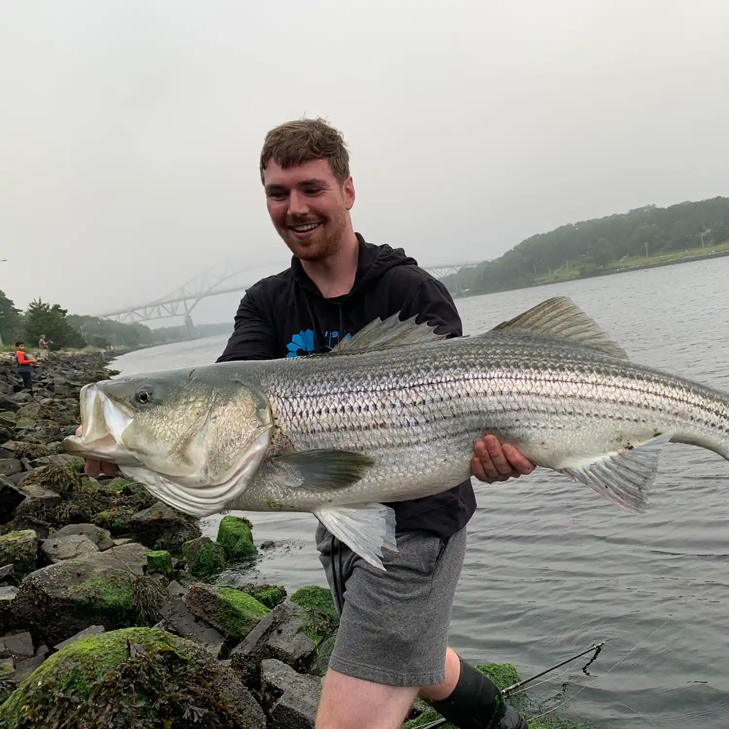 Cape cod online canal fishing report