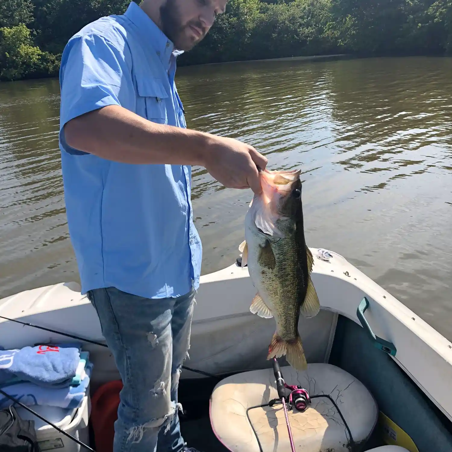 18+ Fishing Report Lake Oconee