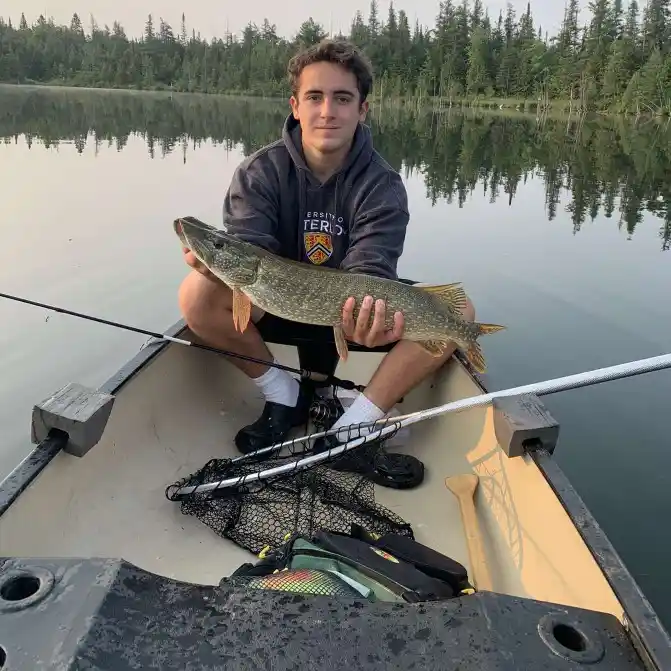Fishing reports, best baits and forecast for fishing in Bells Lake