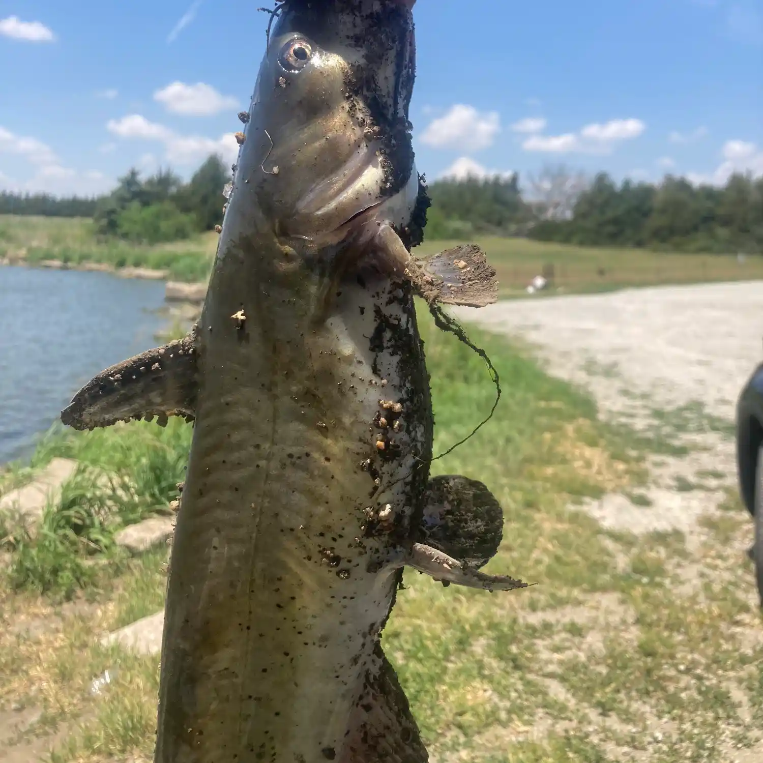 Fishing reports best baits and forecast for fishing in Bear Creek