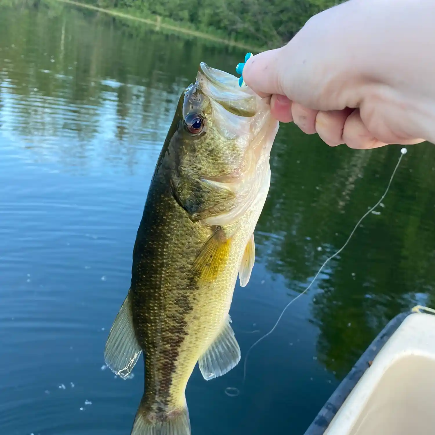 Fishing reports best baits and forecast for fishing in Beatrice Lake