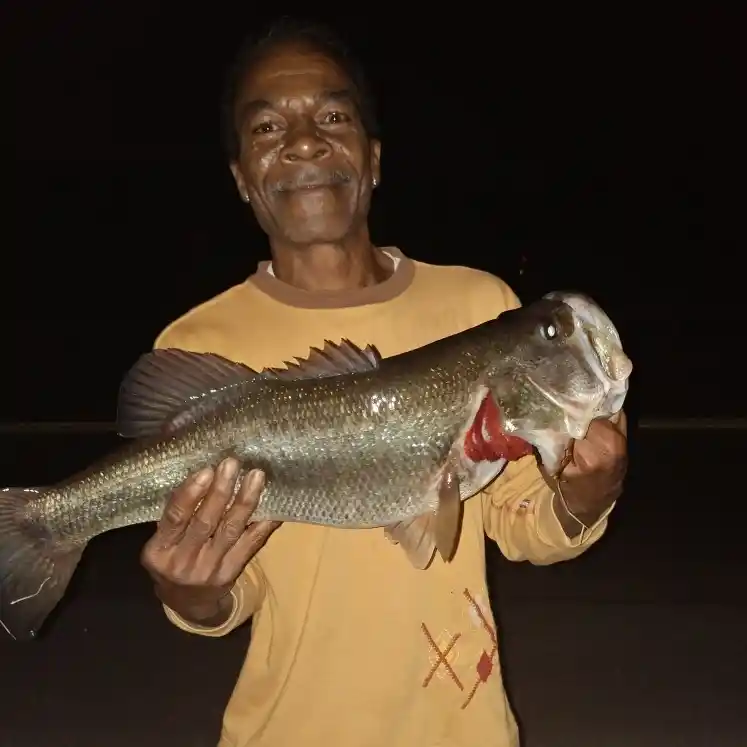 18+ Lake Martin Fishing Report