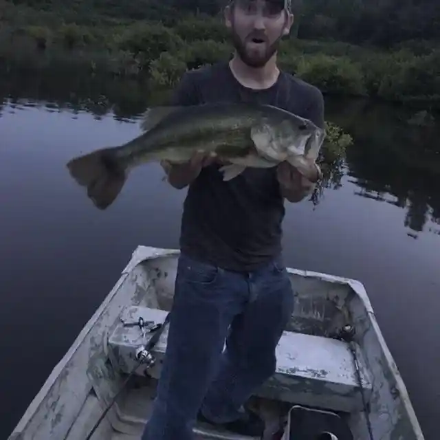 Fishing Bella Vista Sugar Creek (Creek Wading) 