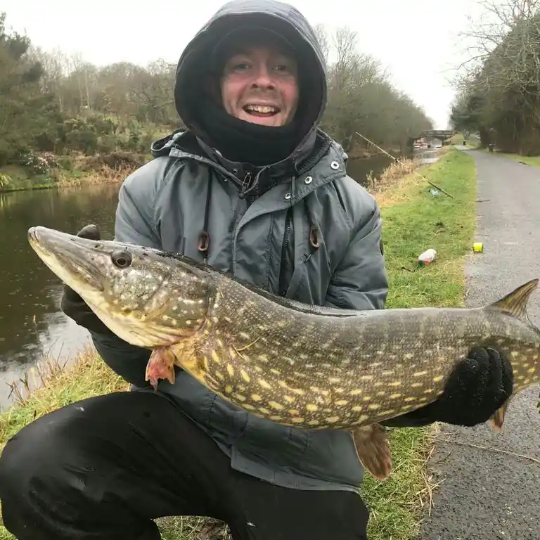 ᐅ Union Canal fishing reports🎣• Scotland, United Kingdom fishing