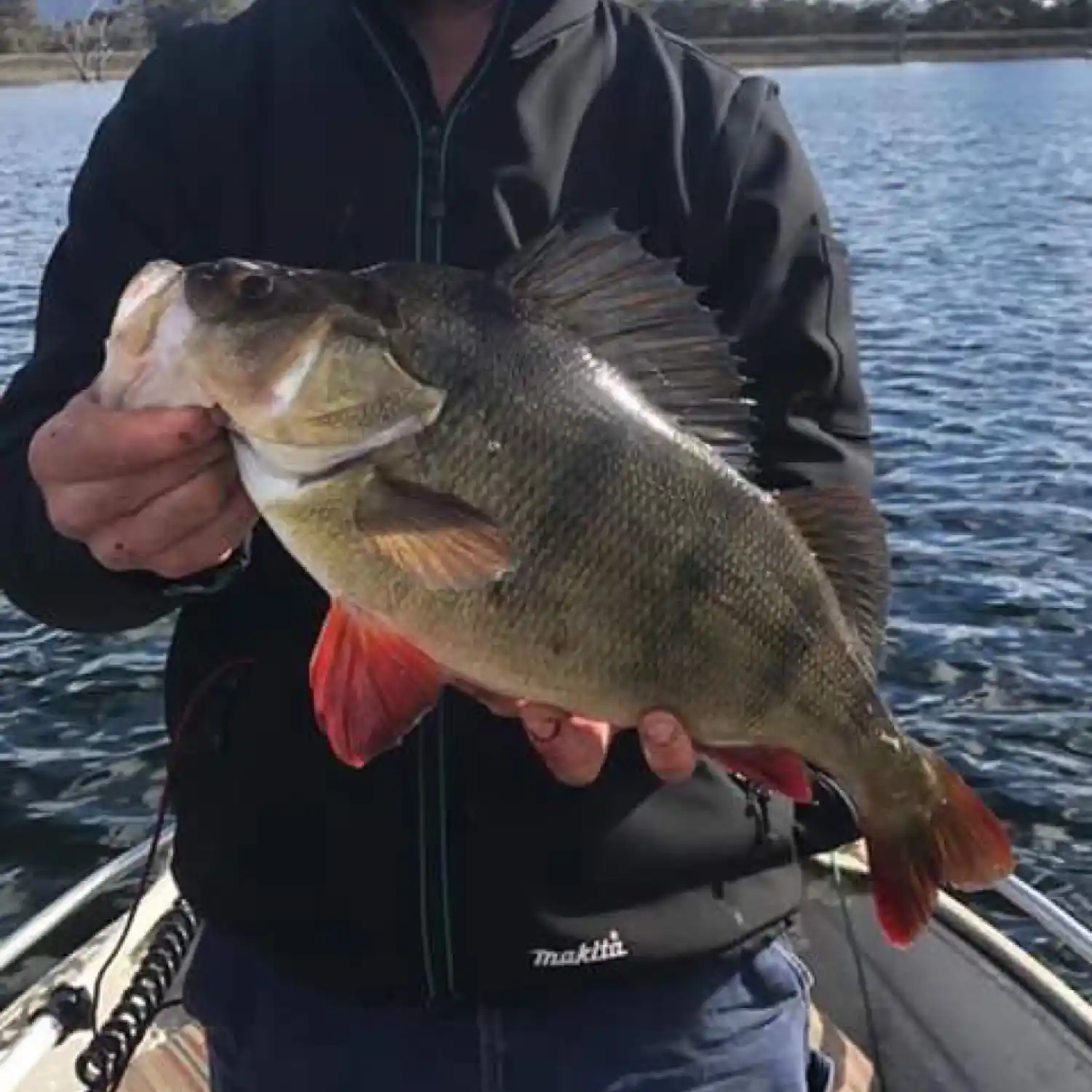 Lake lonsdale fishing report deals 2017