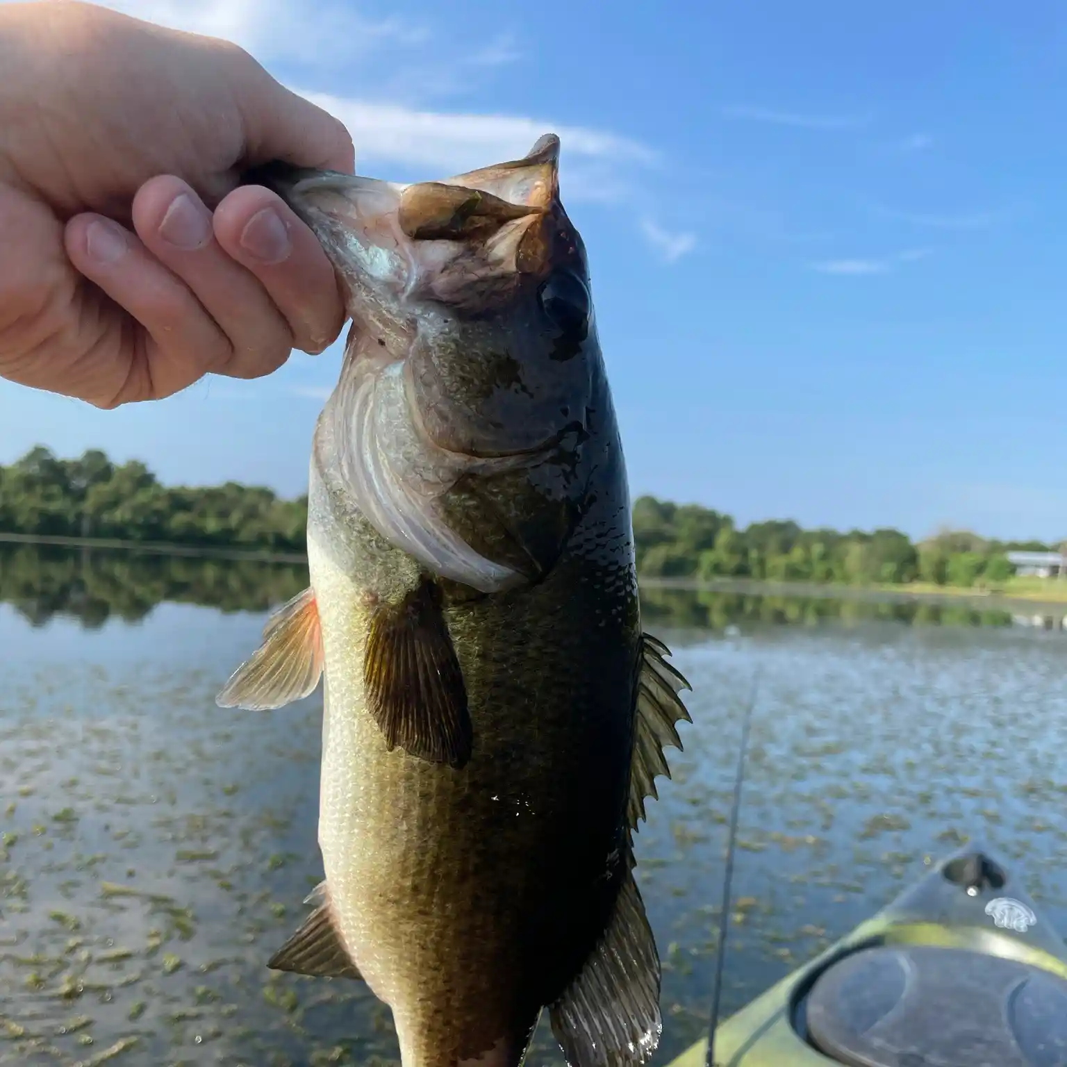 Gibbons Creek Reservoir Fishing Map – Texas Map Store