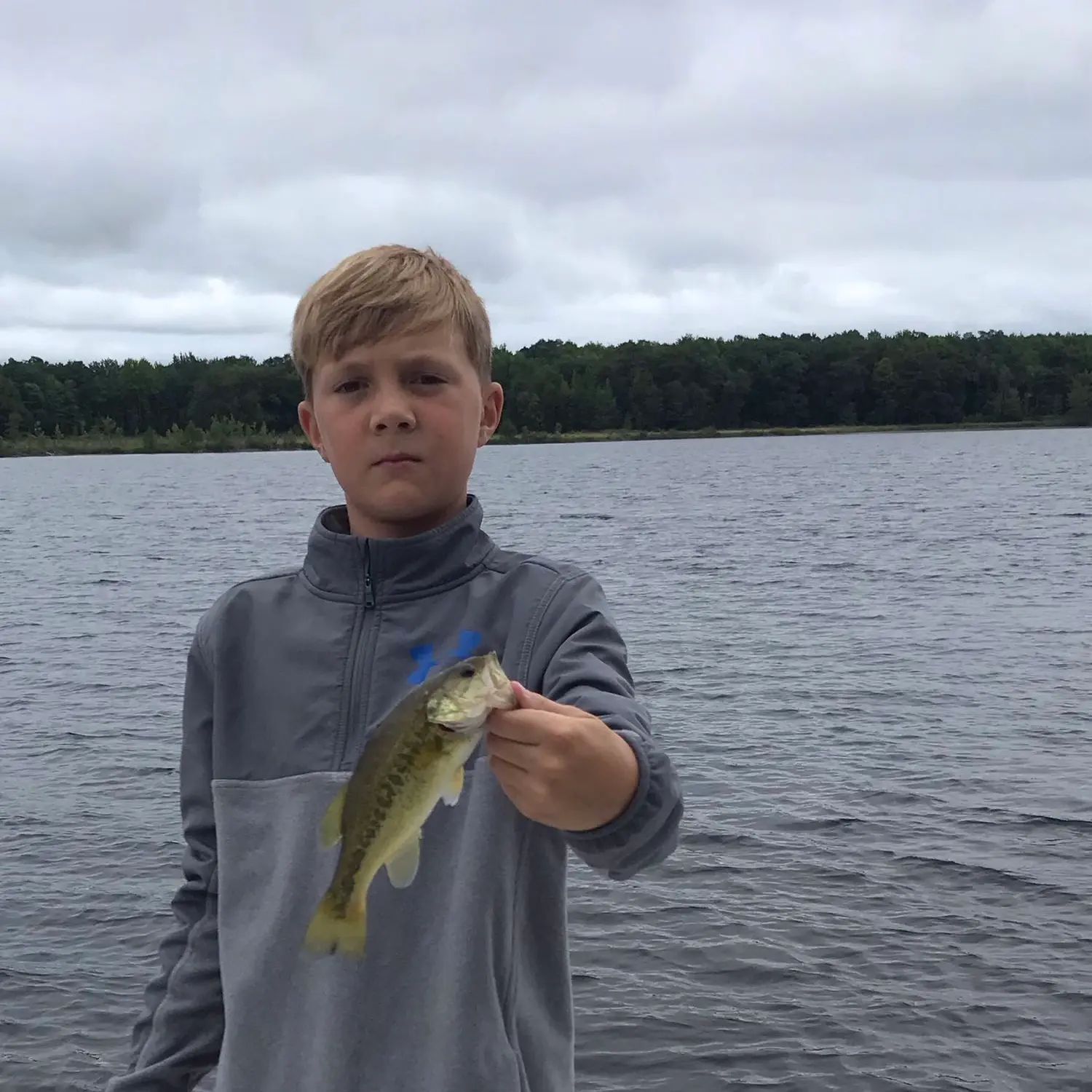 Fishing reports, best baits and forecast for fishing in Pulaski Lake