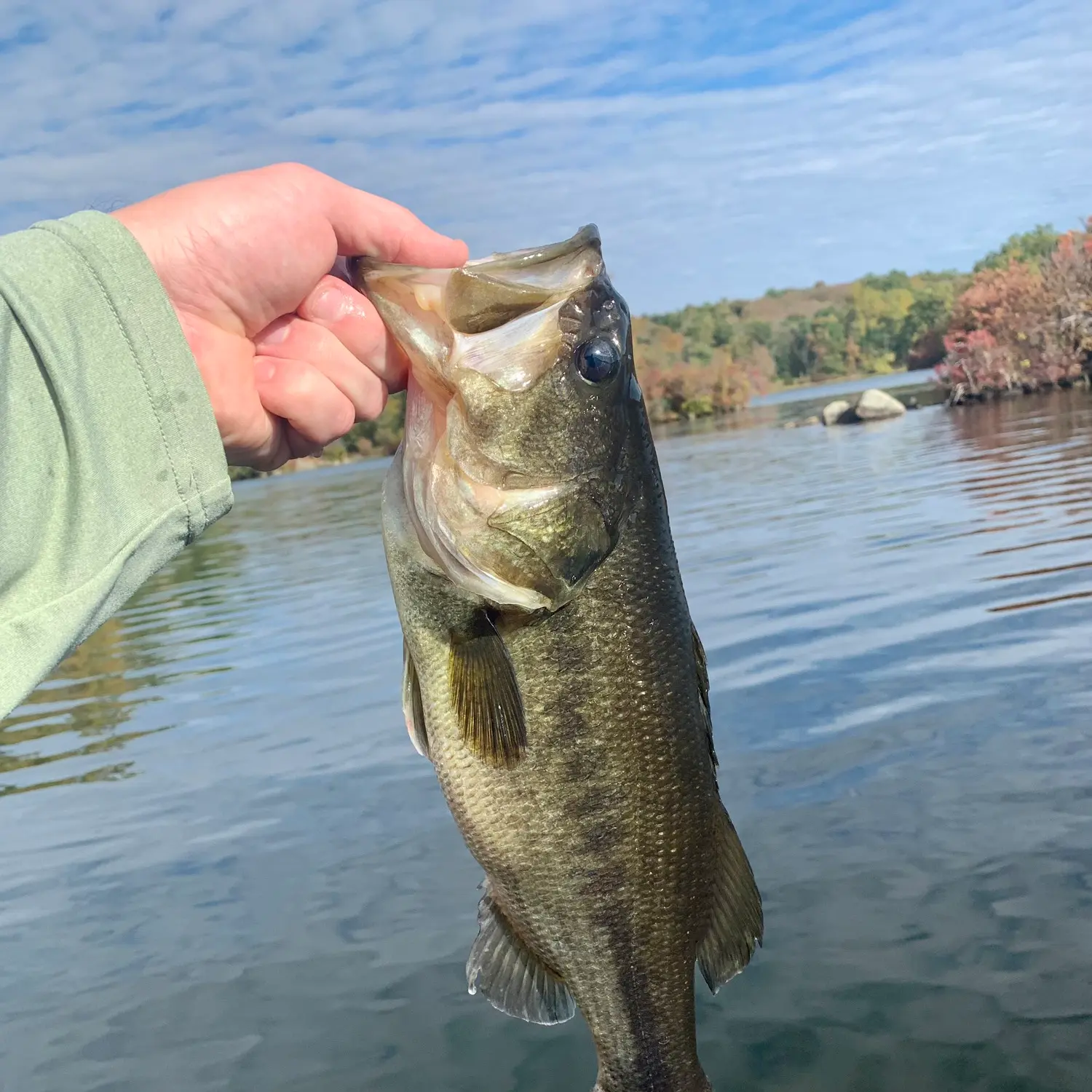 Fishing reports, best baits and forecast for fishing in Splitrock Reservoir